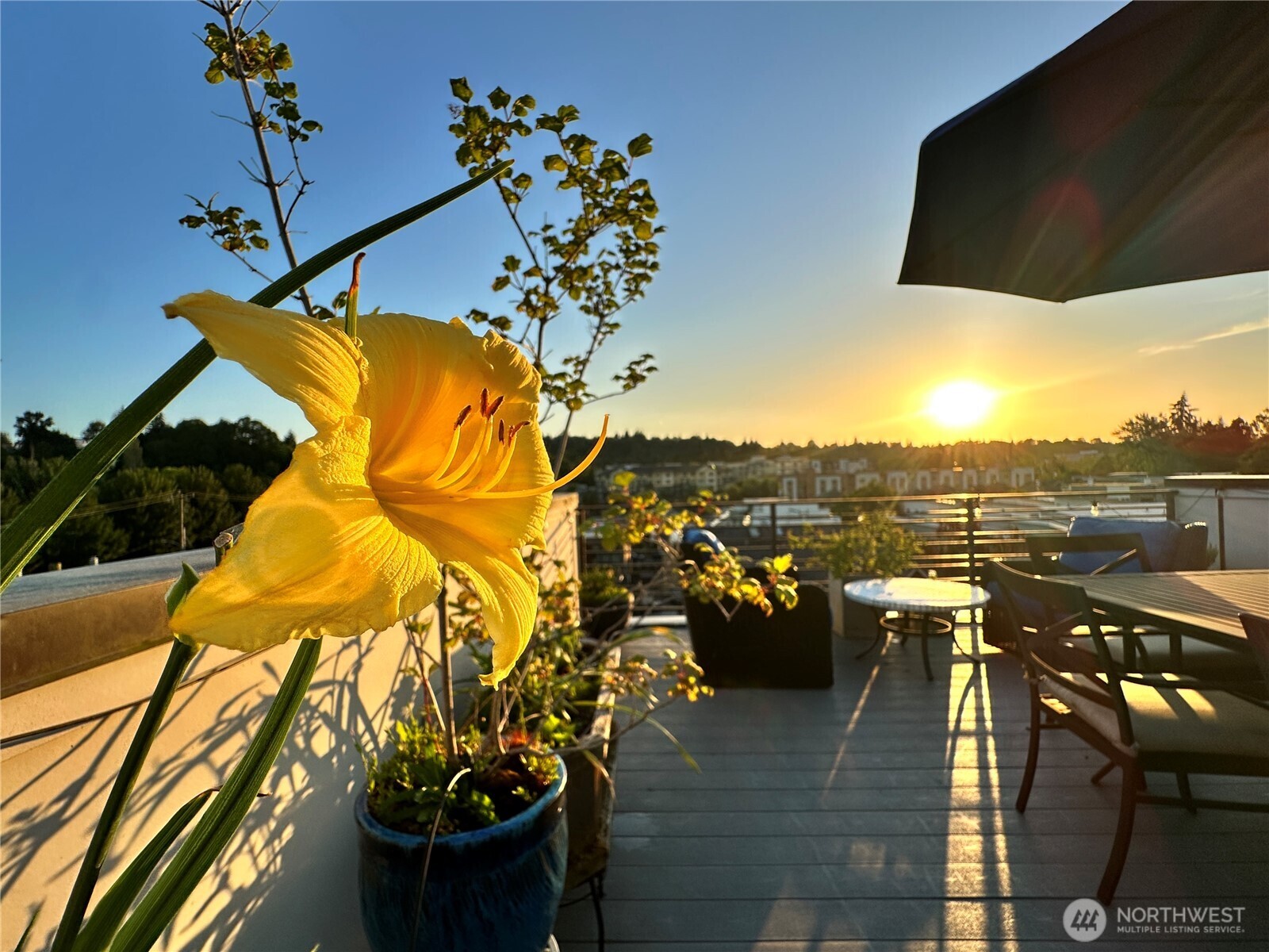 3638 Courtland Place B Property Photo 24