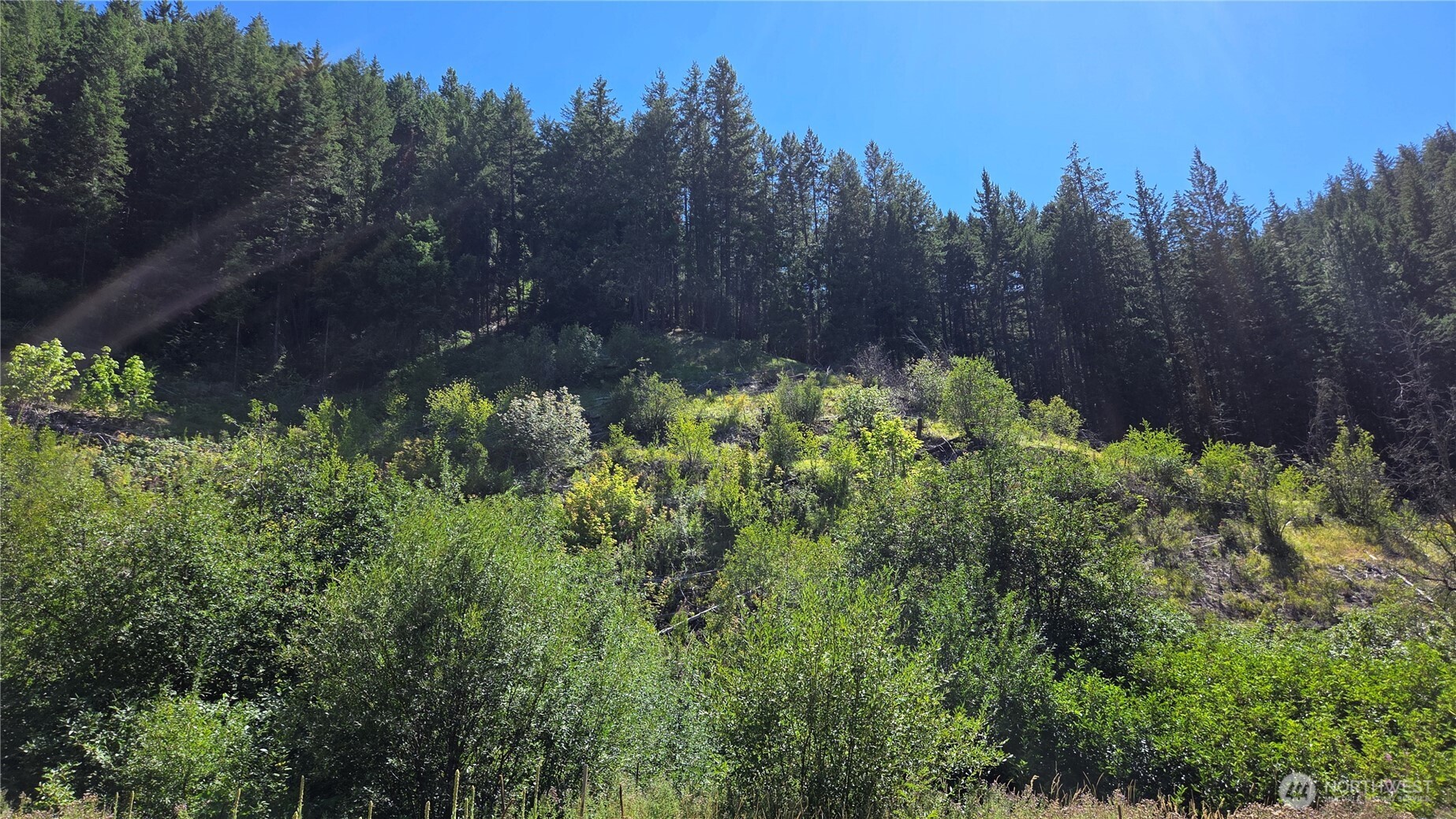 8925 Merry Canyon Road Property Photo 34