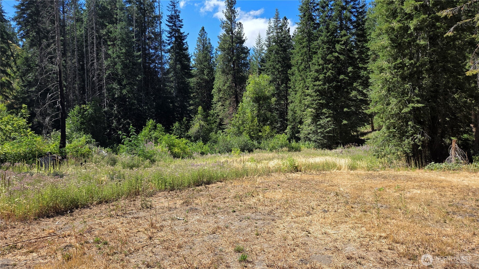 8925 Merry Canyon Road Property Photo 37