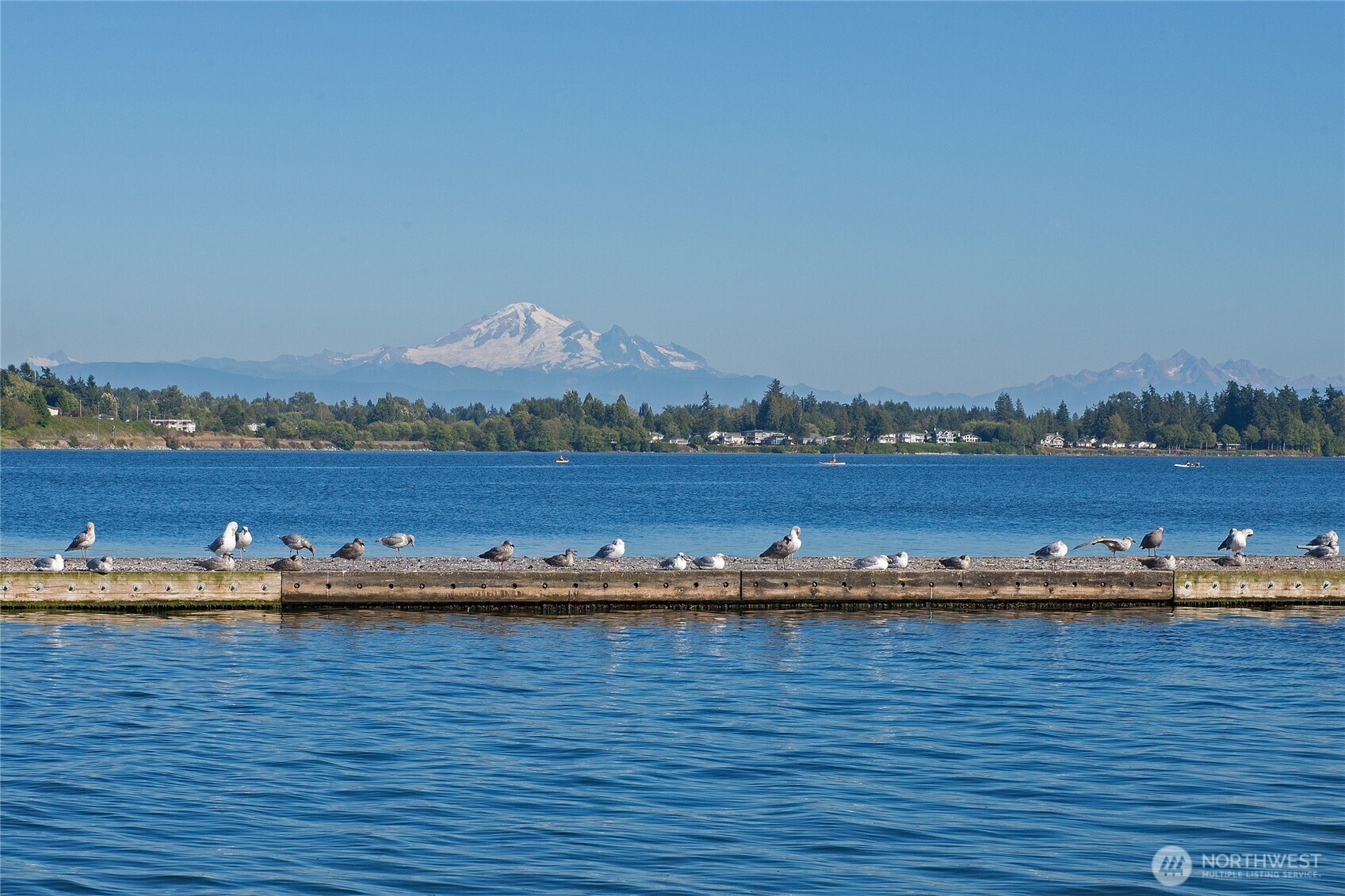 9540 Semiahmoo Parkway L-2 Property Photo 15