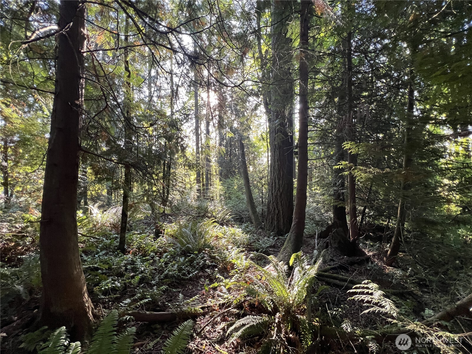 0 Old Pacific Highway Property Photo 1