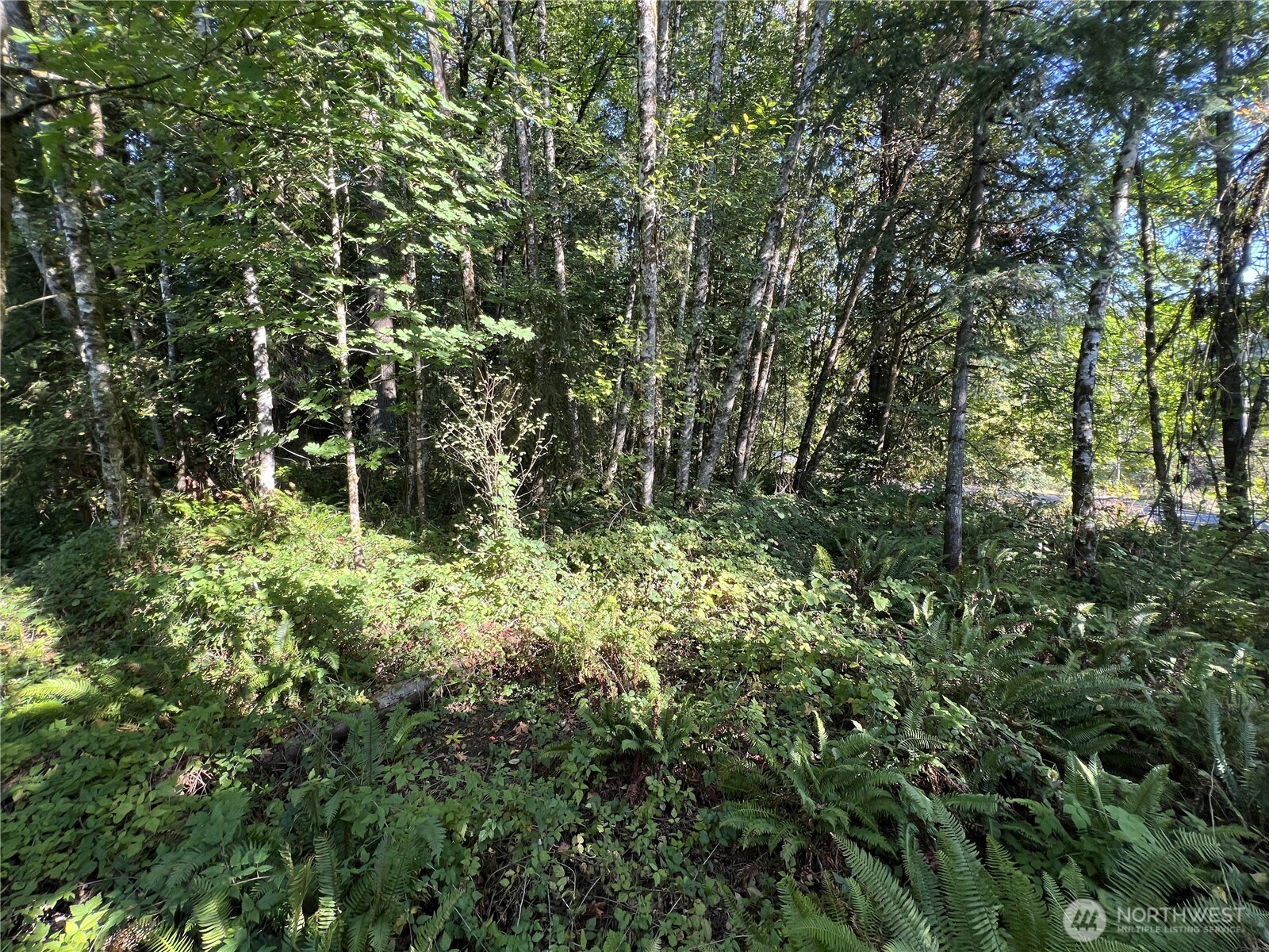 0 Old Pacific Highway Property Photo 2