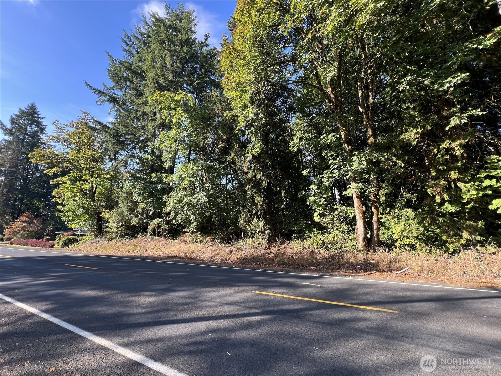 0 Old Pacific Highway Property Photo 4