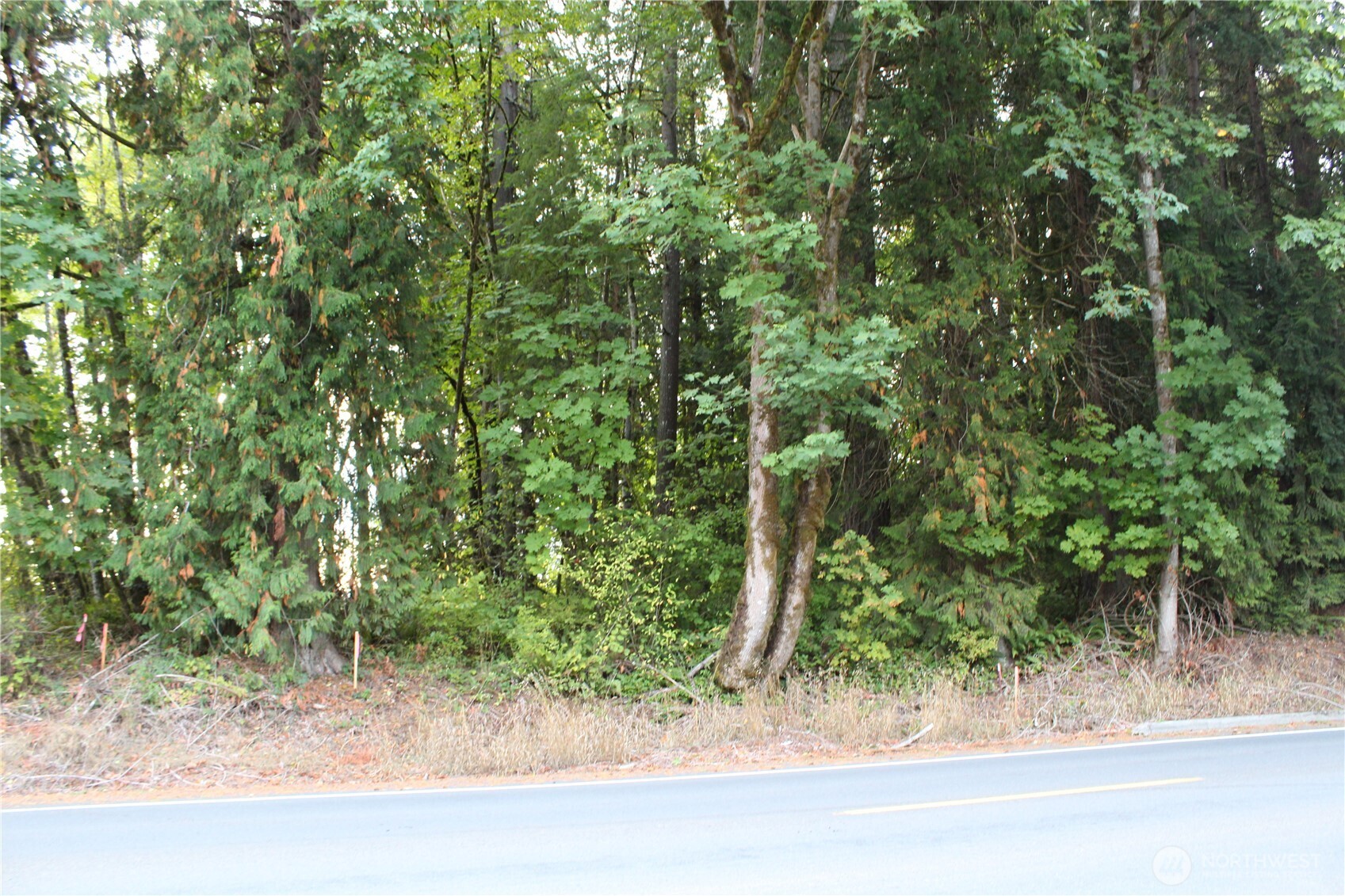 0 Old Pacific Highway Property Photo 2