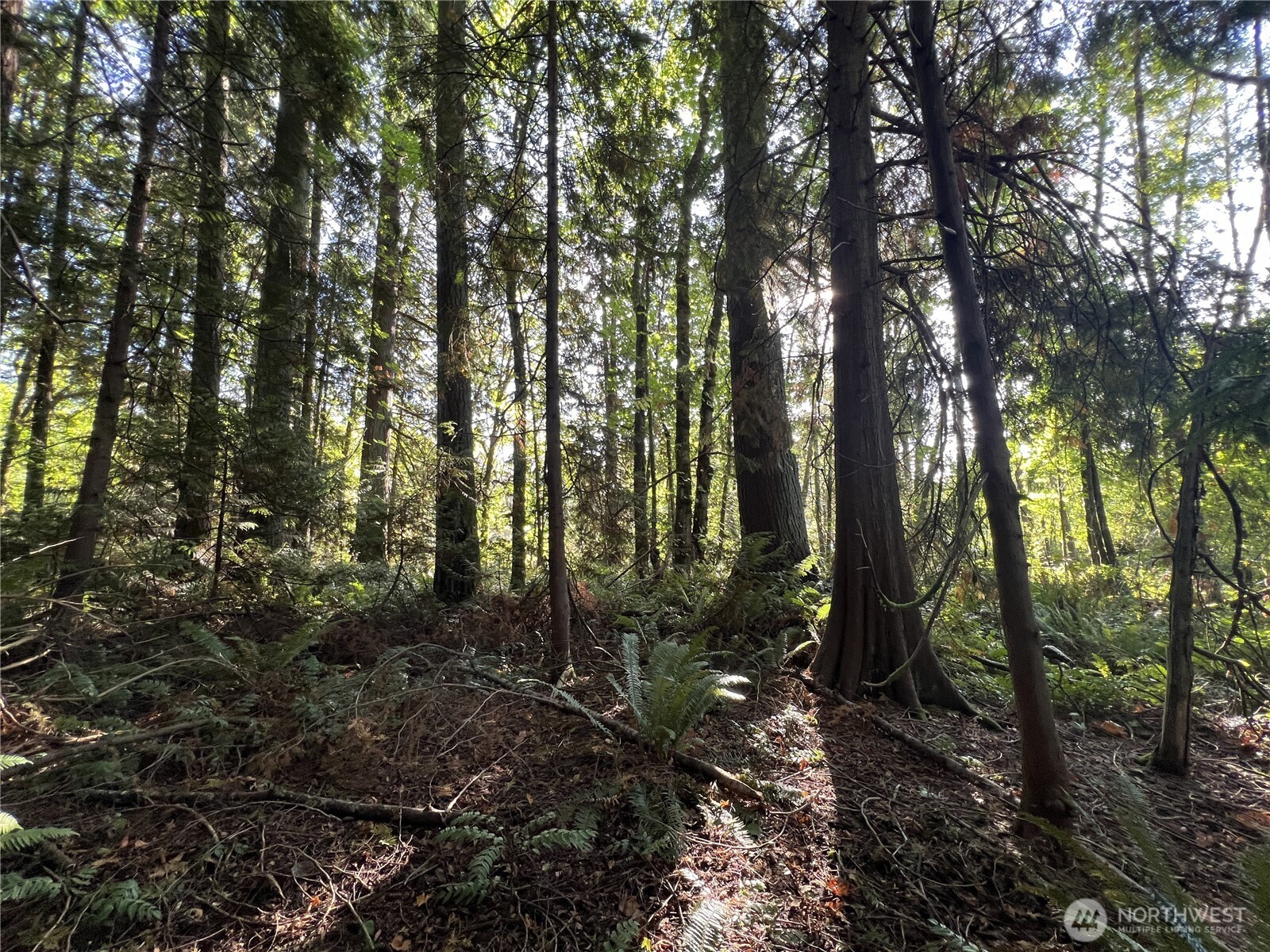 0 Old Pacific Highway Property Photo 6