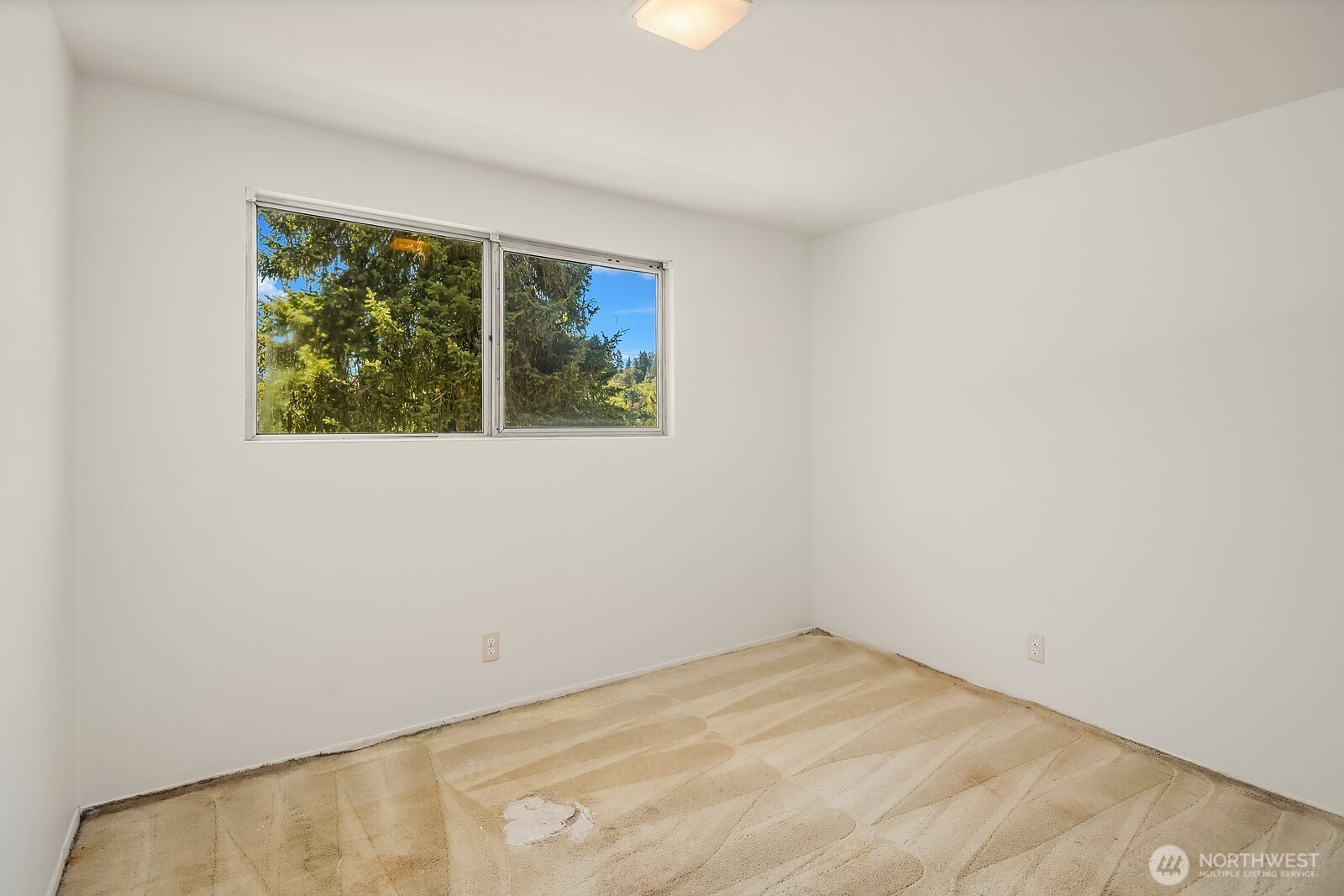 3621 81st Avenue Property Photo 17