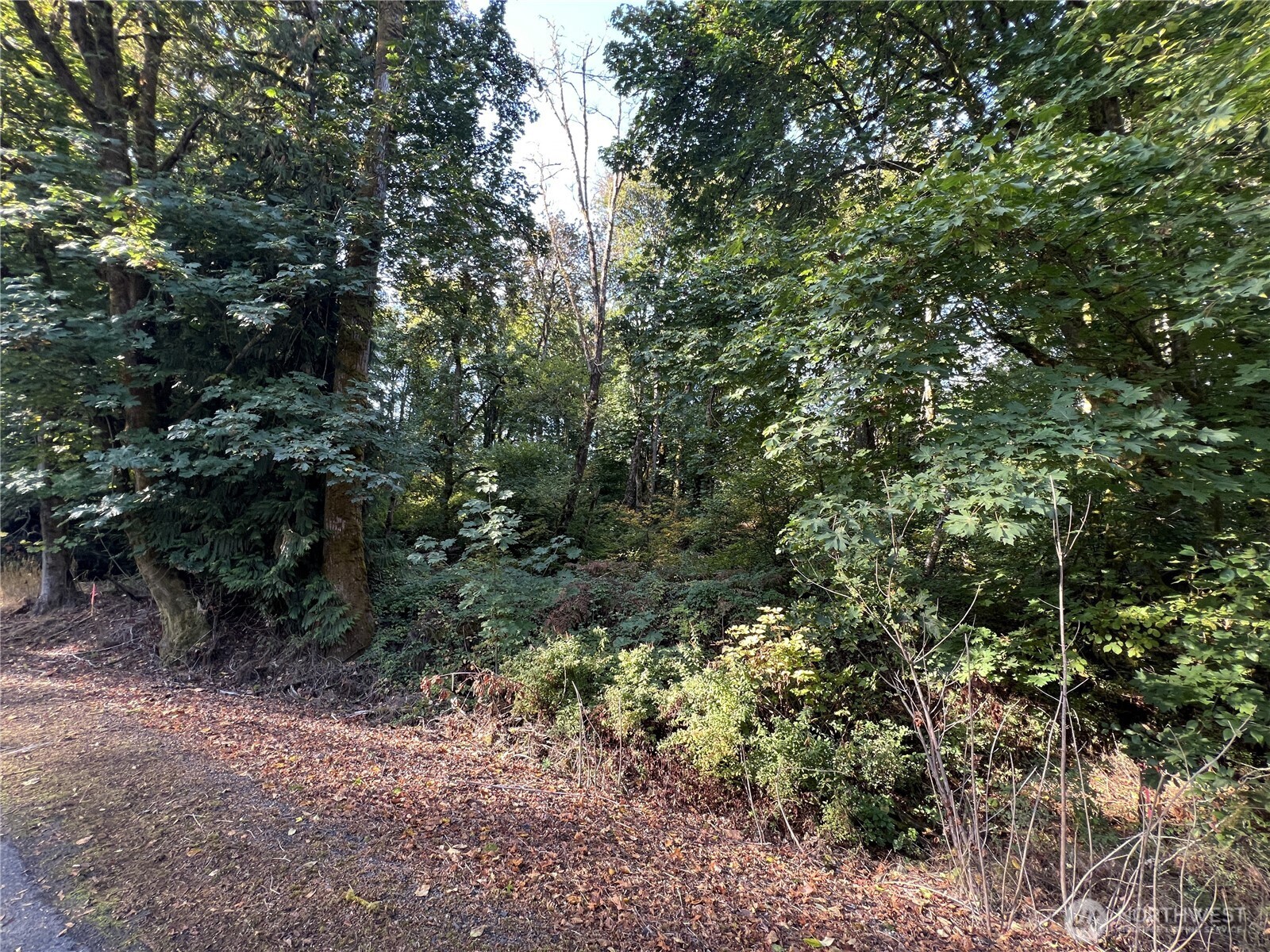 0 Old Pacific Highway Property Photo 4