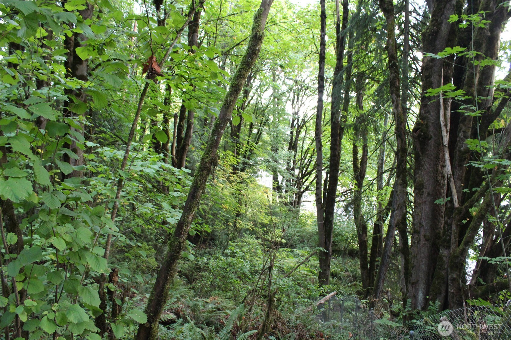 0 Old Pacific Highway Property Photo 8