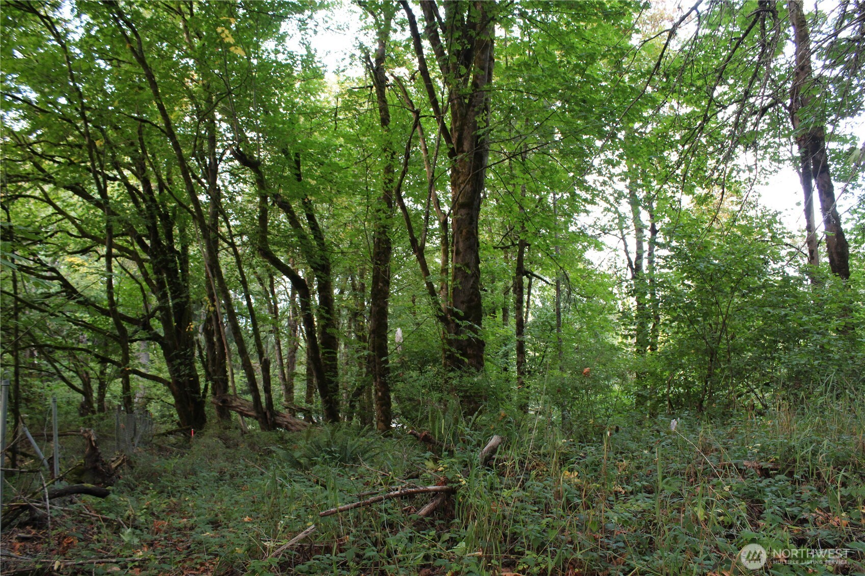 0 Old Pacific Highway Property Photo 9