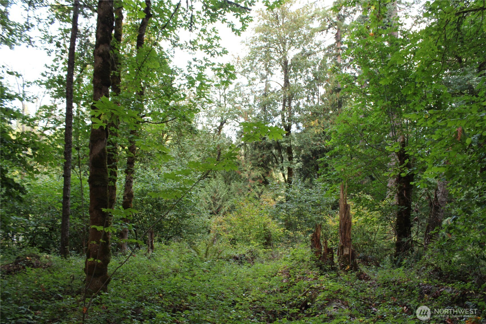 0 Old Pacific Highway Property Photo 10