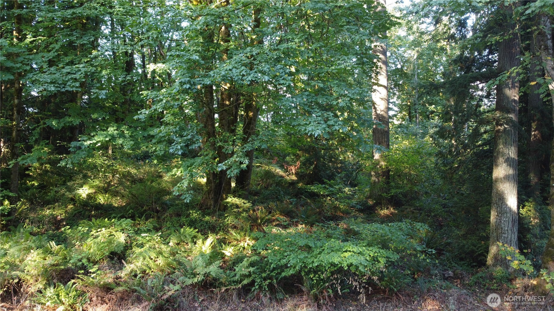 0 Old Pacific Highway Property Photo 11