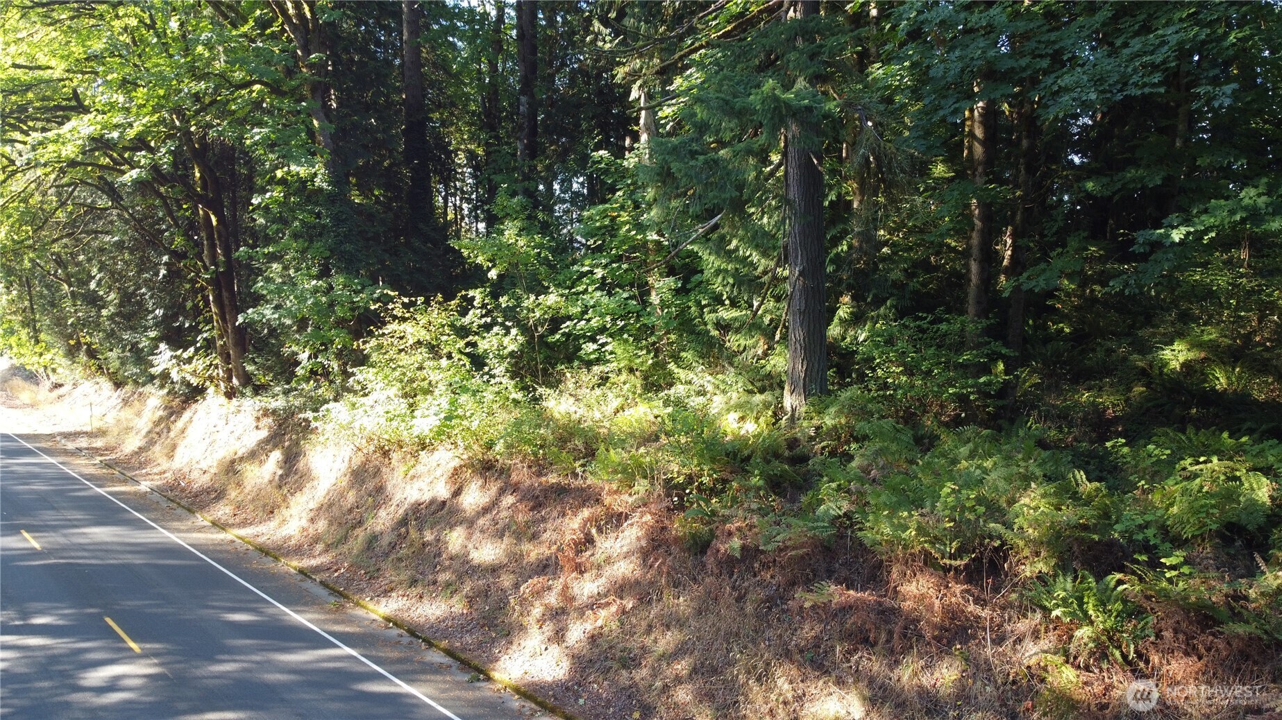 0 Old Pacific Highway Property Photo 12
