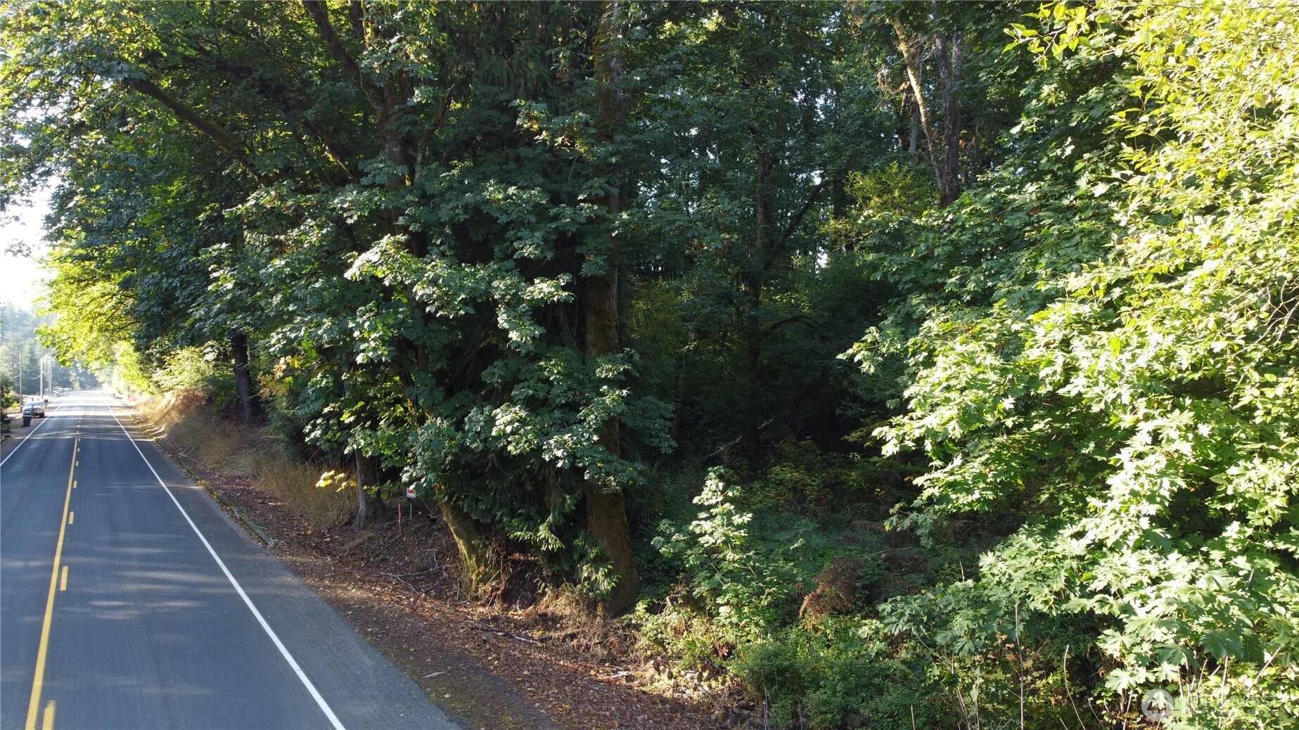 0 Old Pacific Highway Property Photo 13