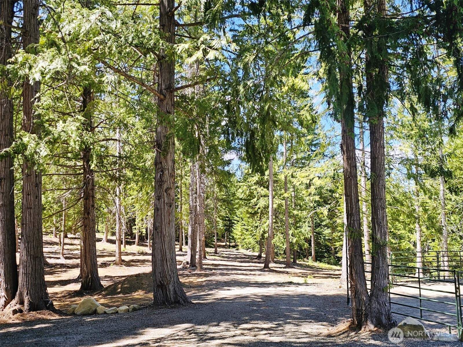 2461 Big Horn Way Property Photo 32