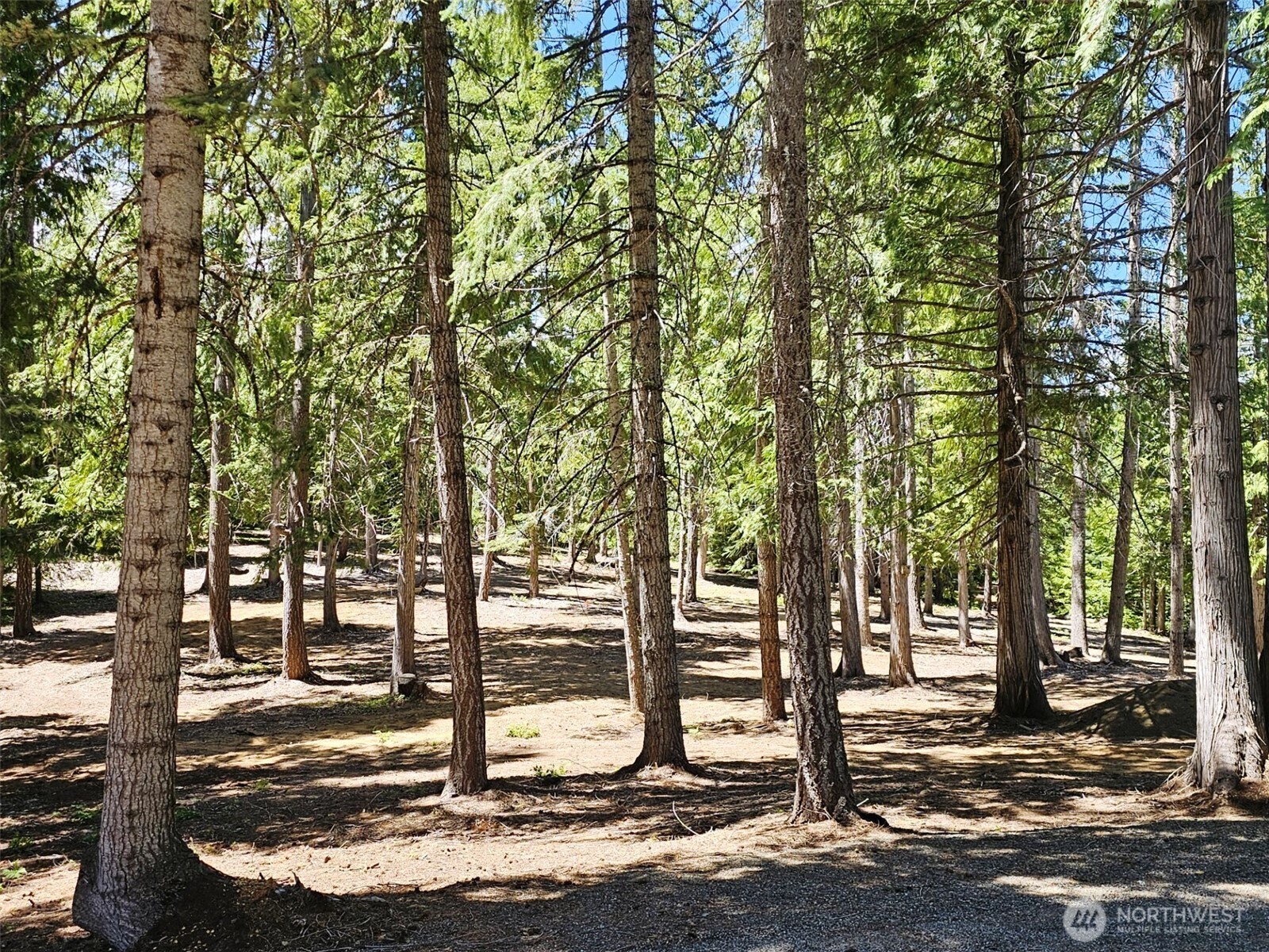 2461 Big Horn Way Property Photo 38