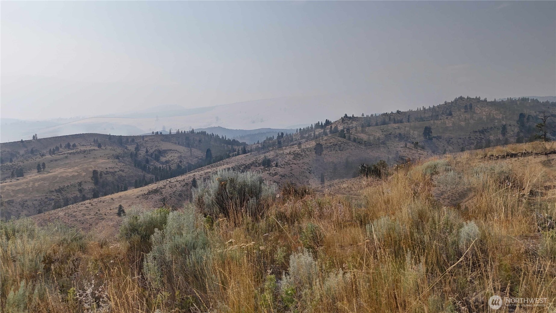 0 Nna Purtteman Gulch Rd. Property Photo 4