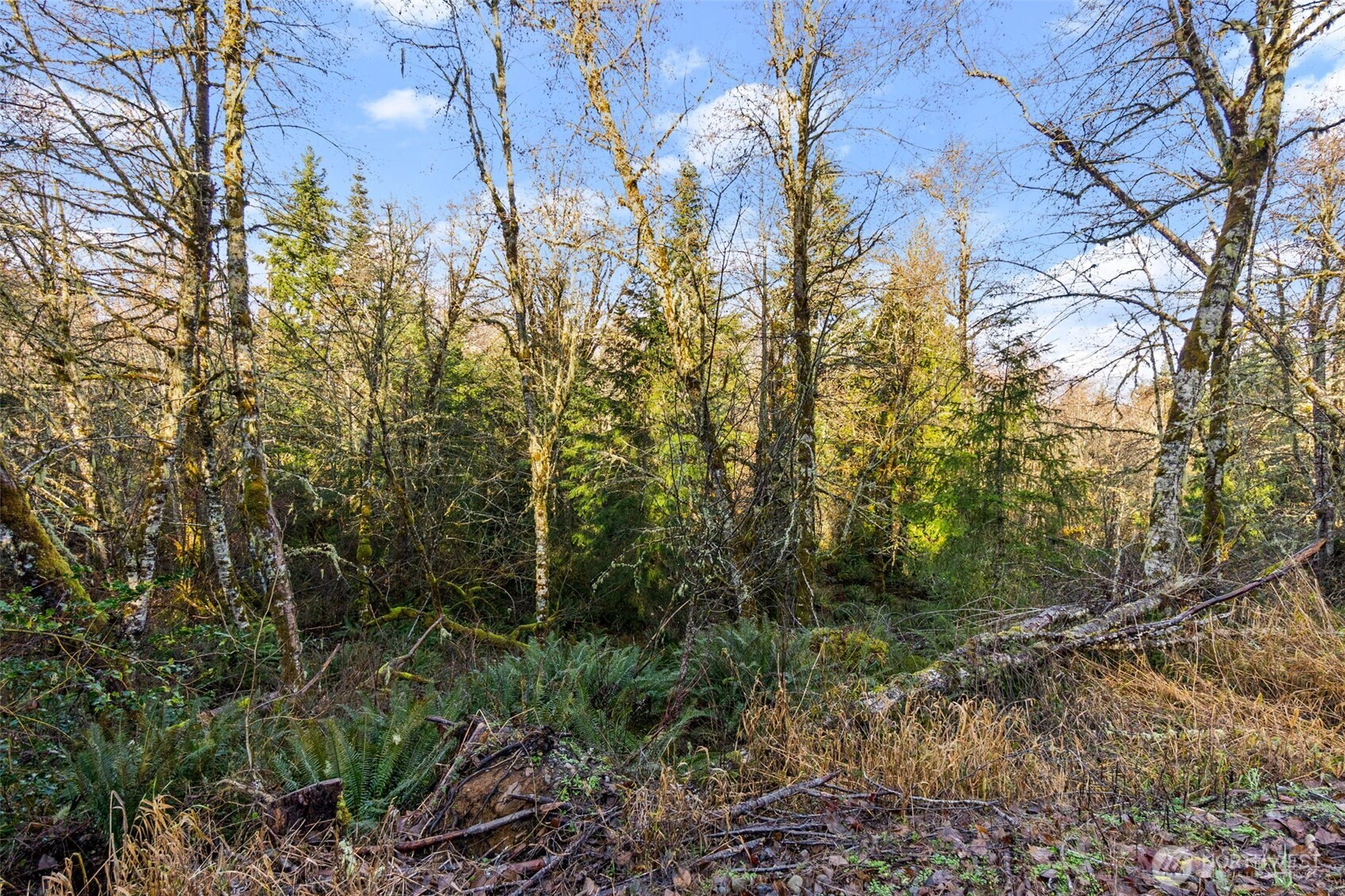 7848 Wapiti Lane Property Photo 12