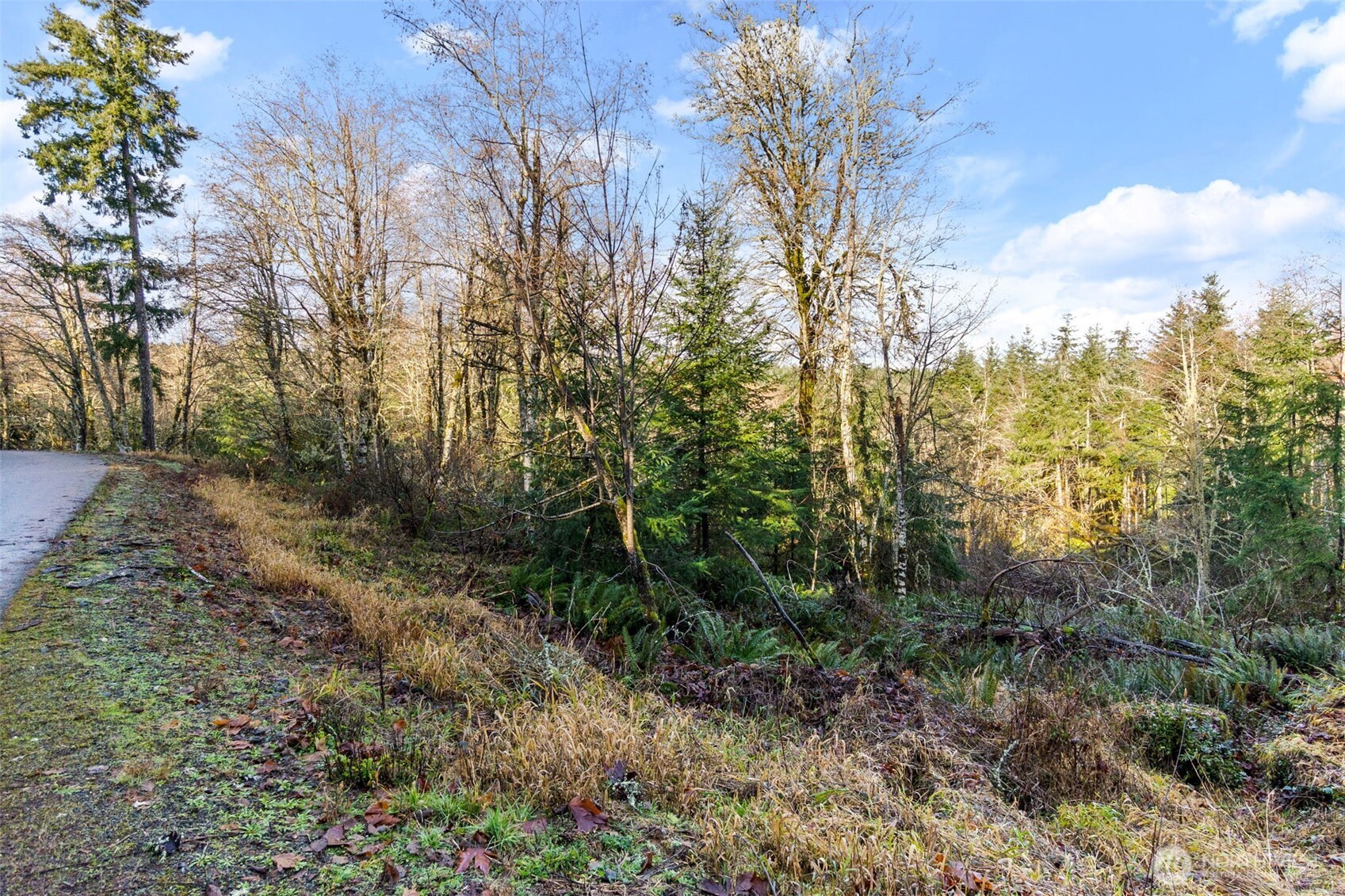 7848 Wapiti Lane Property Photo 13