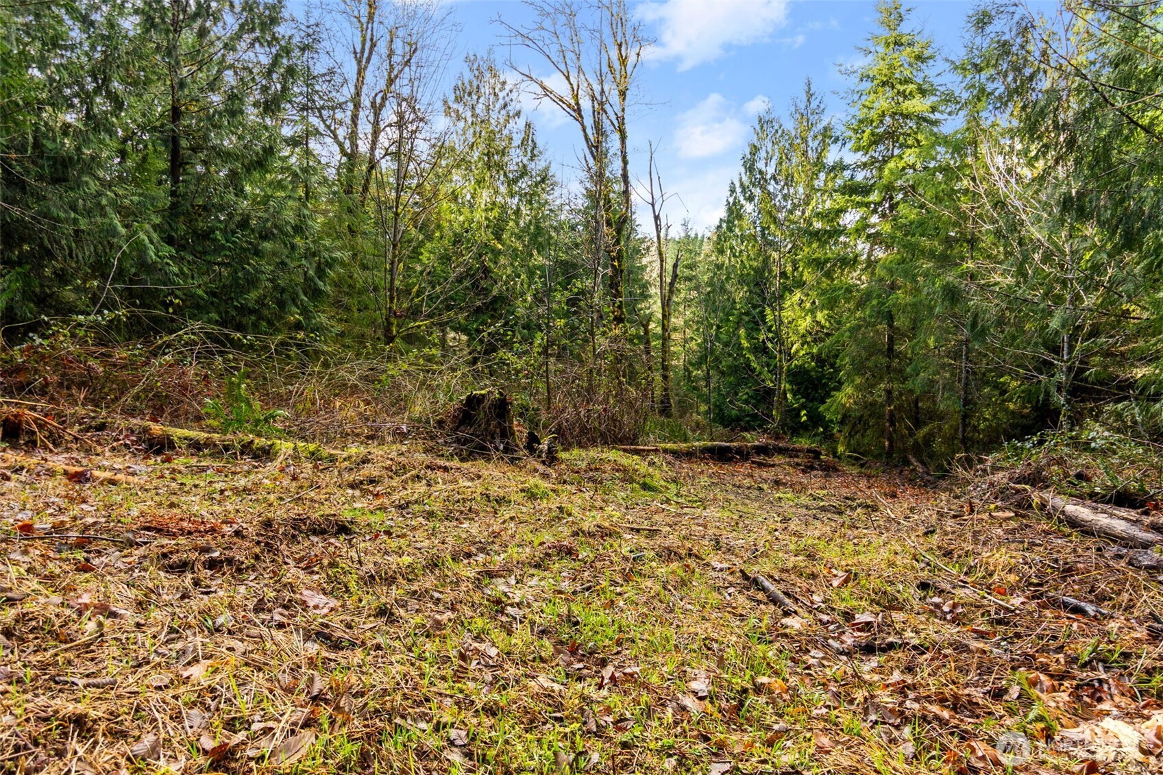 7002 Nanitch Lane Property Photo 10