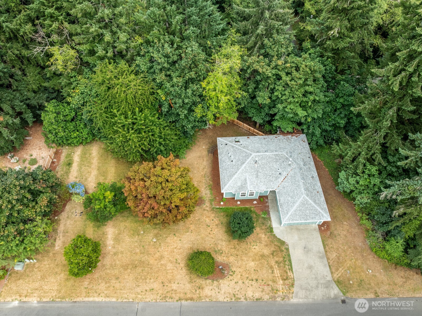 2343 Steamboat Loop Property Photo 4