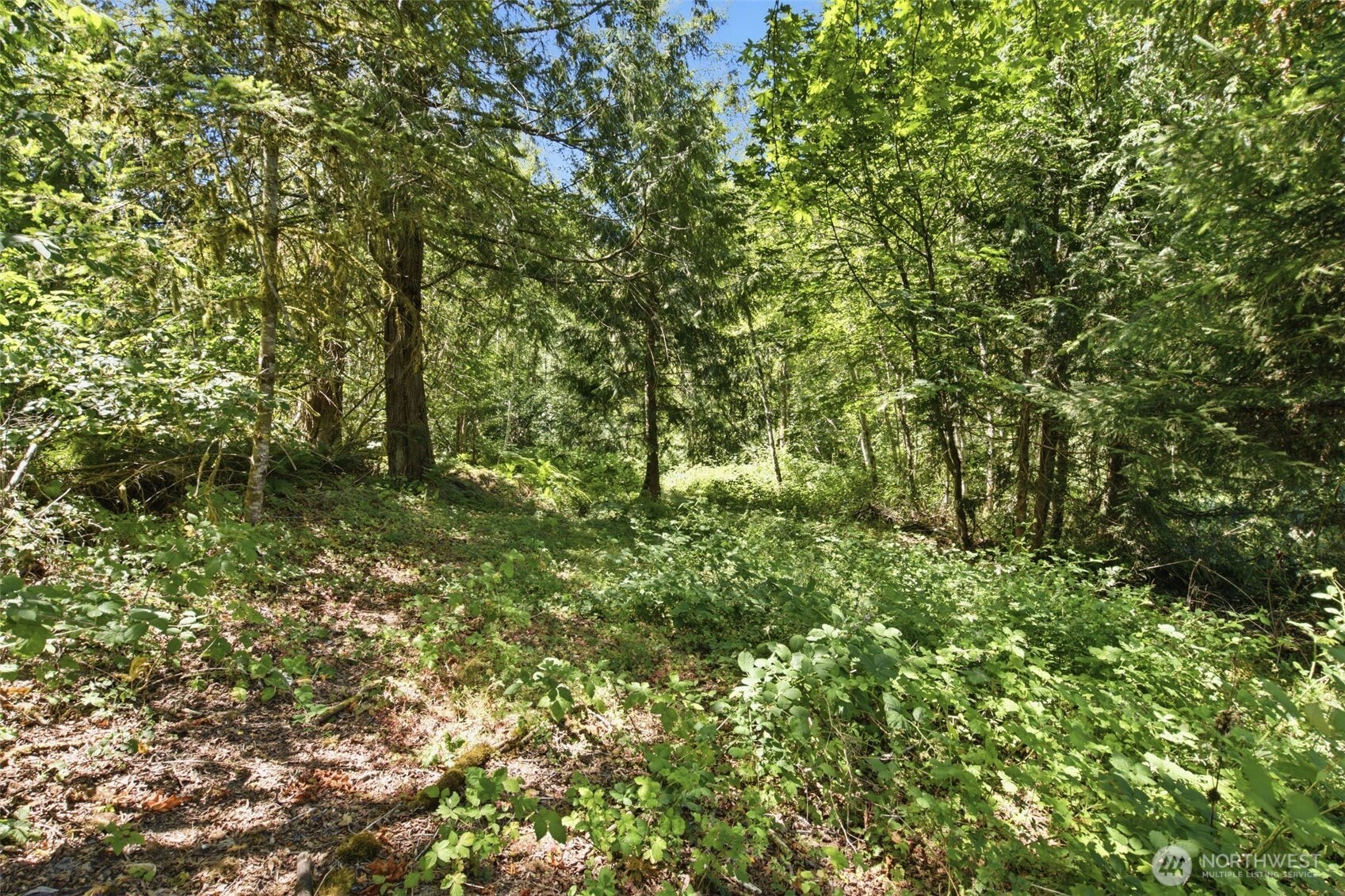 3009 Whiteman Road Property Photo 7