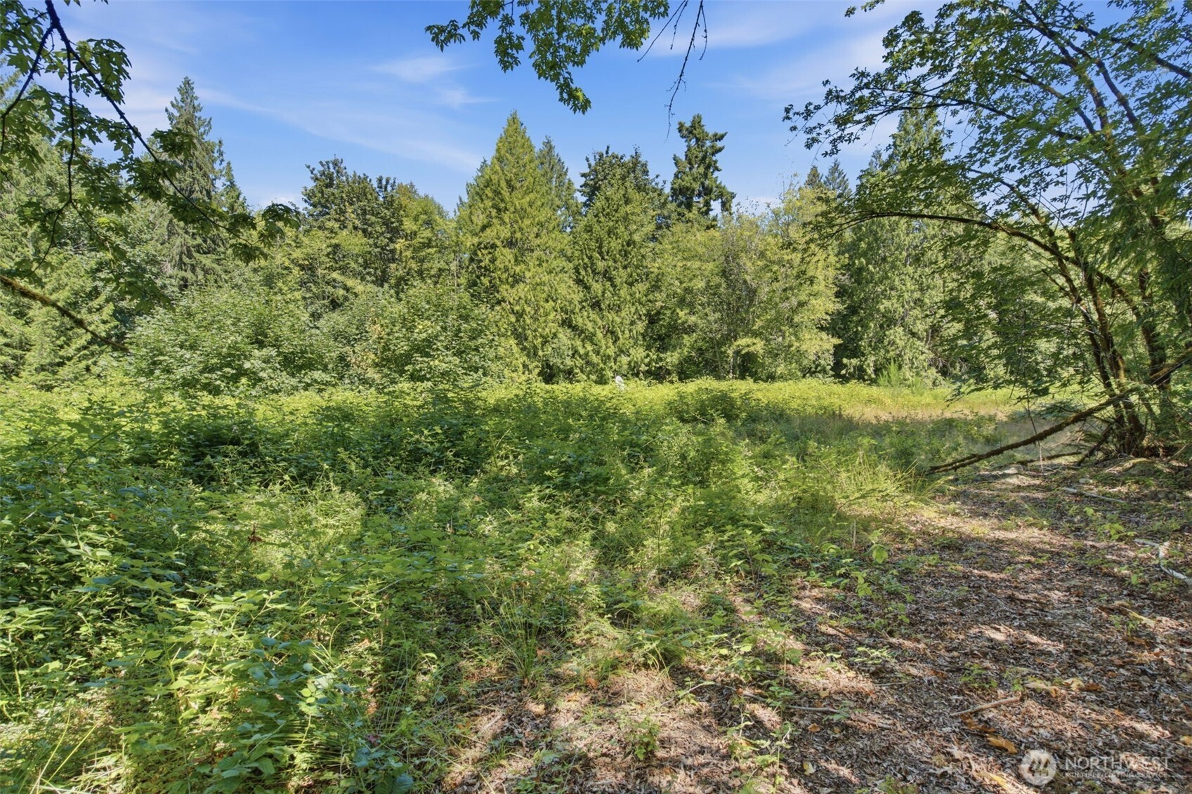 3009 Whiteman Road Property Photo 10