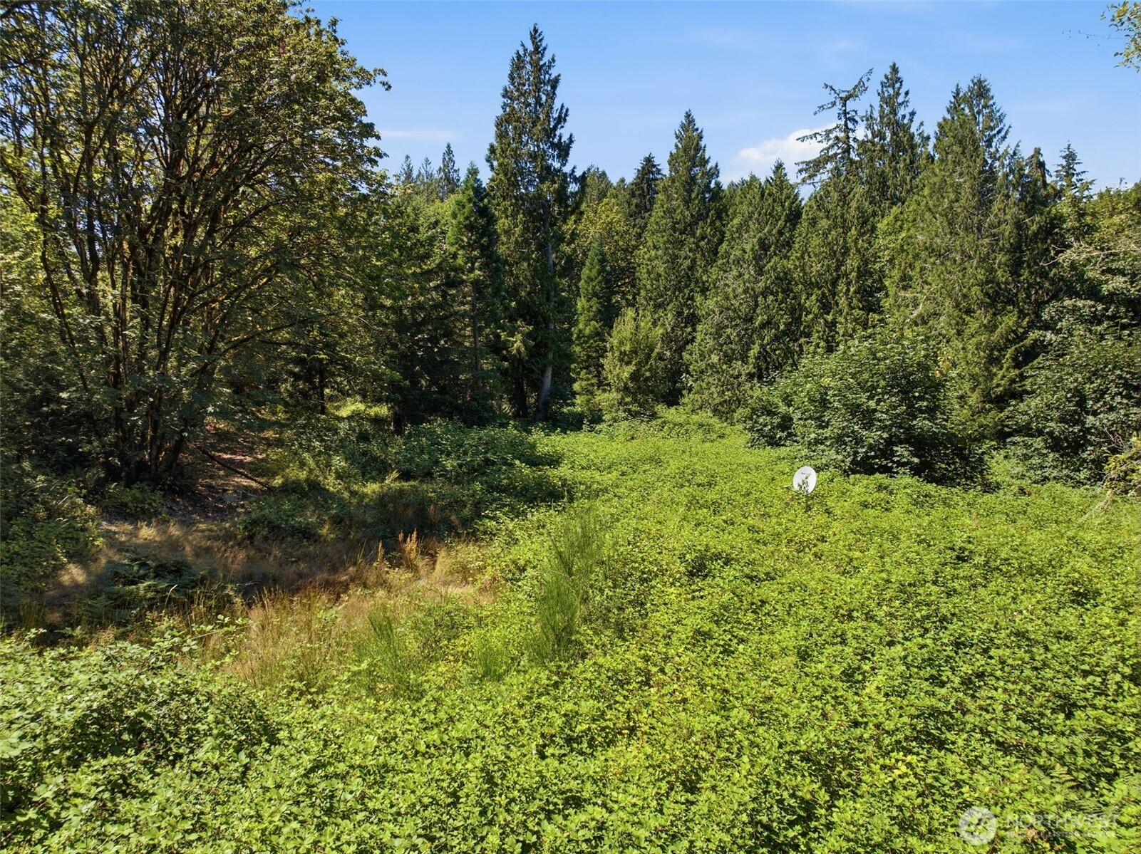 3009 Whiteman Road Property Photo 15
