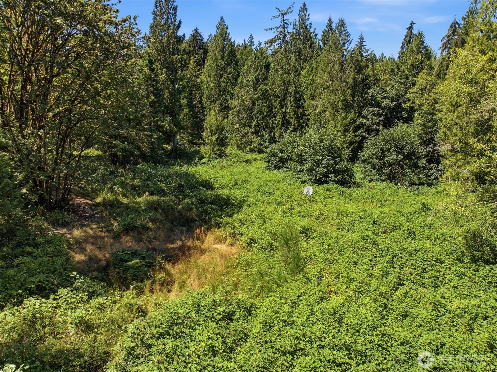 3009 Whiteman Road Property Photo 16