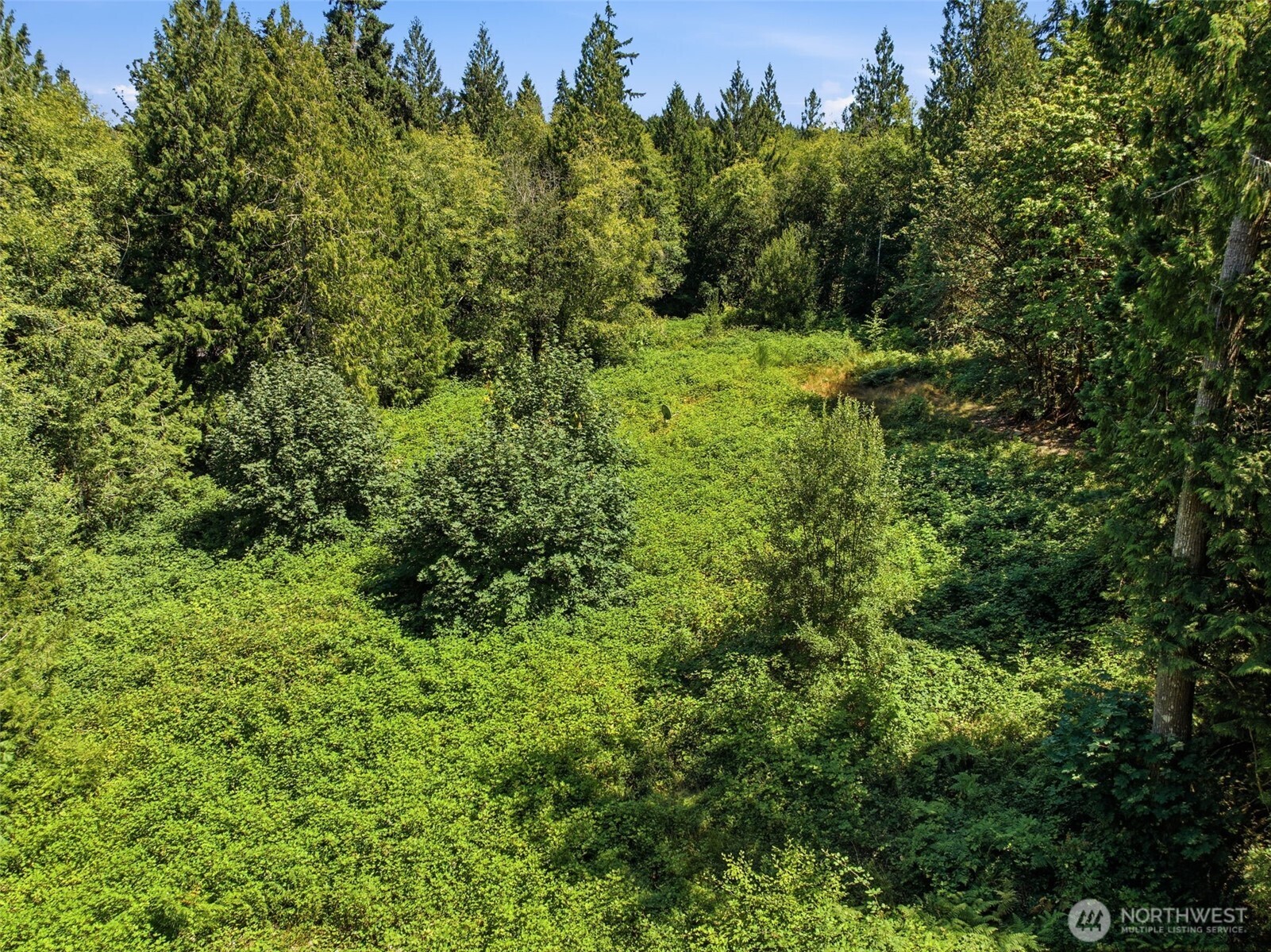3009 Whiteman Road Property Photo 17
