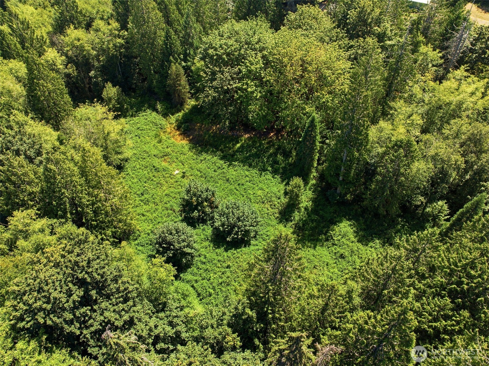 3009 Whiteman Road Property Photo 19
