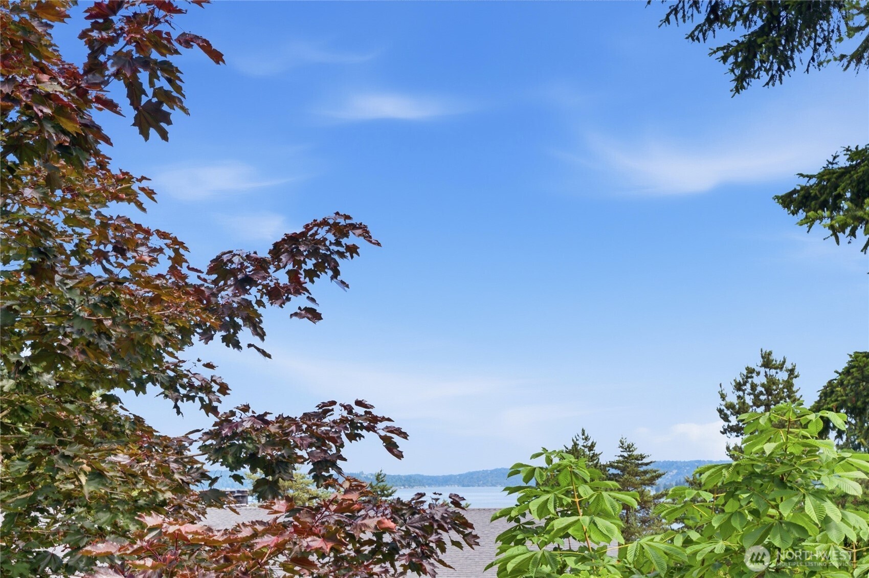 4189 W Lake Sammamish Parkway B309 Property Photo 31