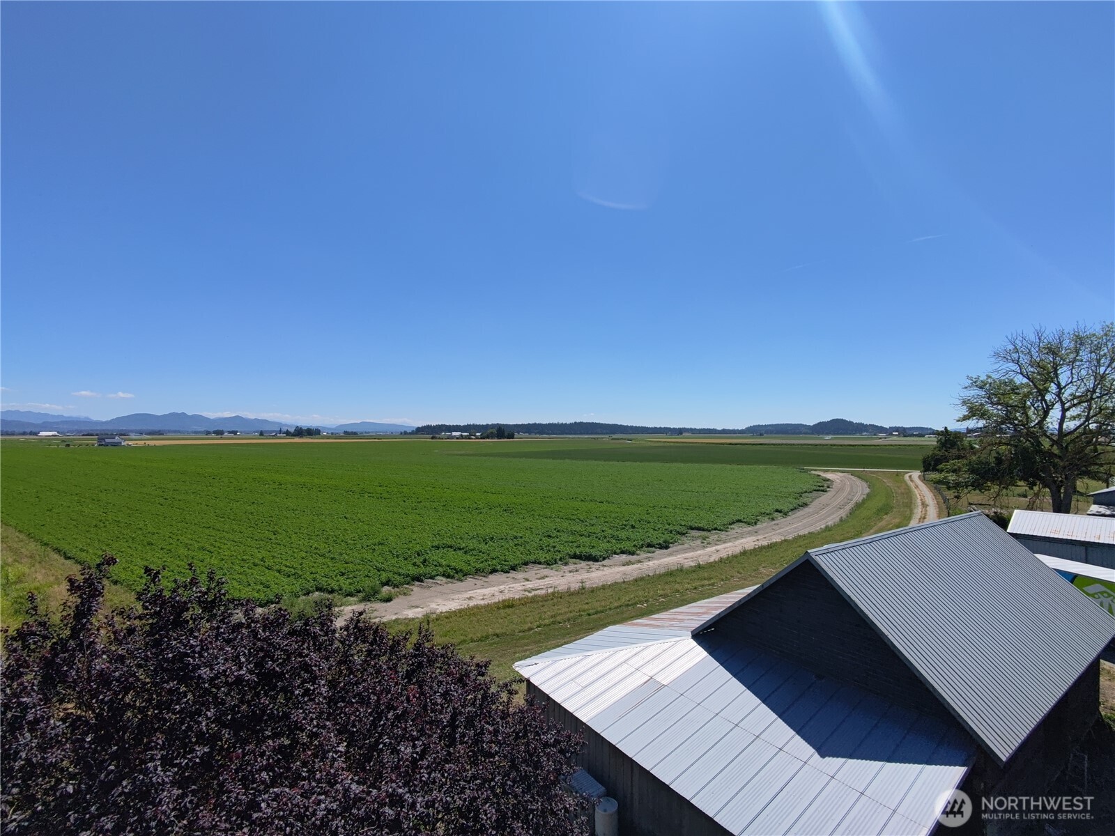 12741 Ring Lane Property Photo 3