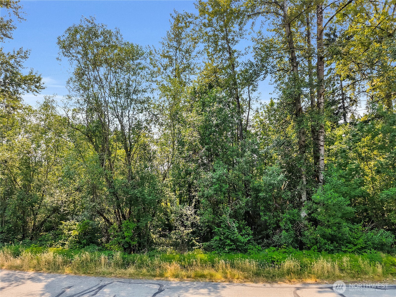 0 123xxx 202nd Place Property Photo 12