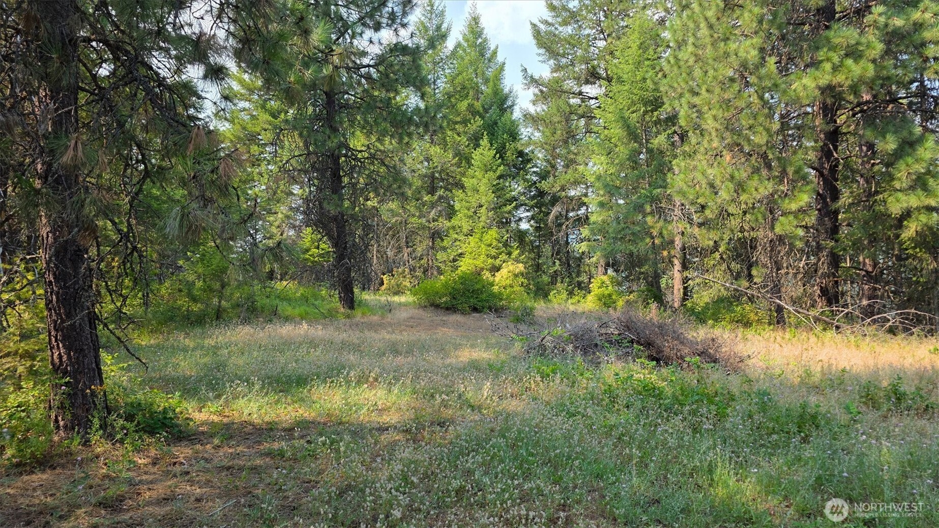443421 Sr-20 Property Photo 26