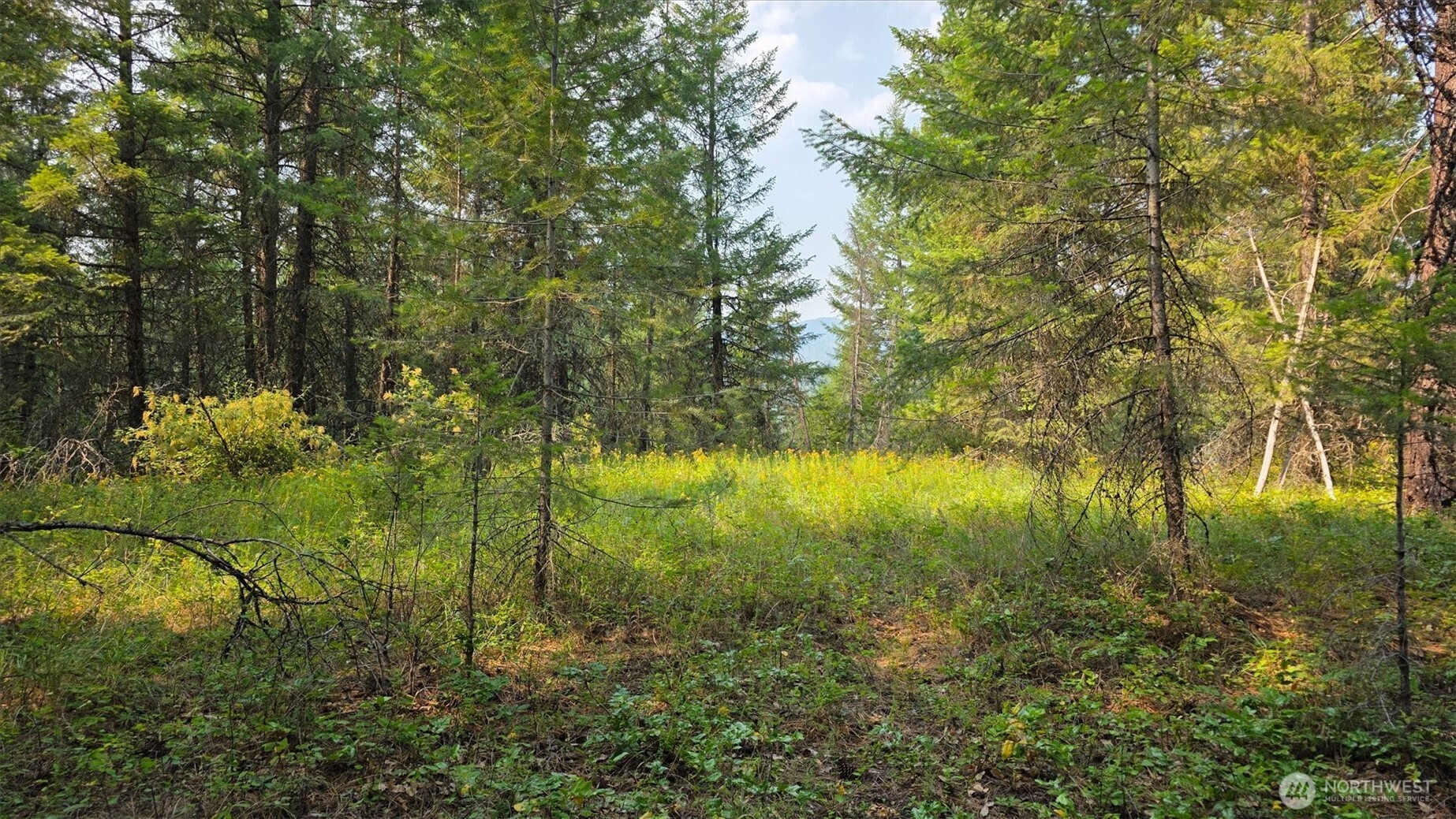 443421 Sr-20 Property Photo 30