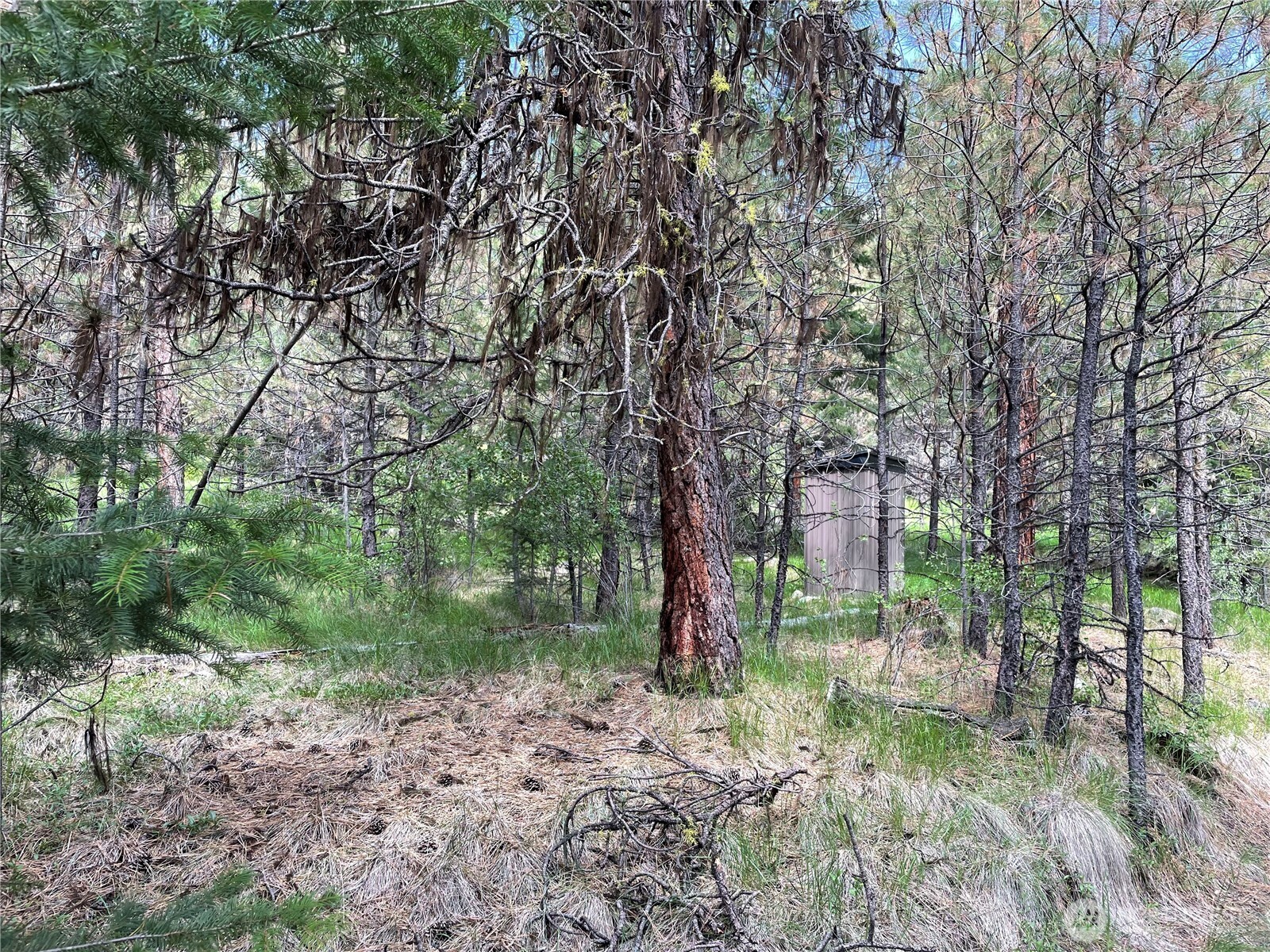 112 Tbd Sunrise Rd Property Photo 5