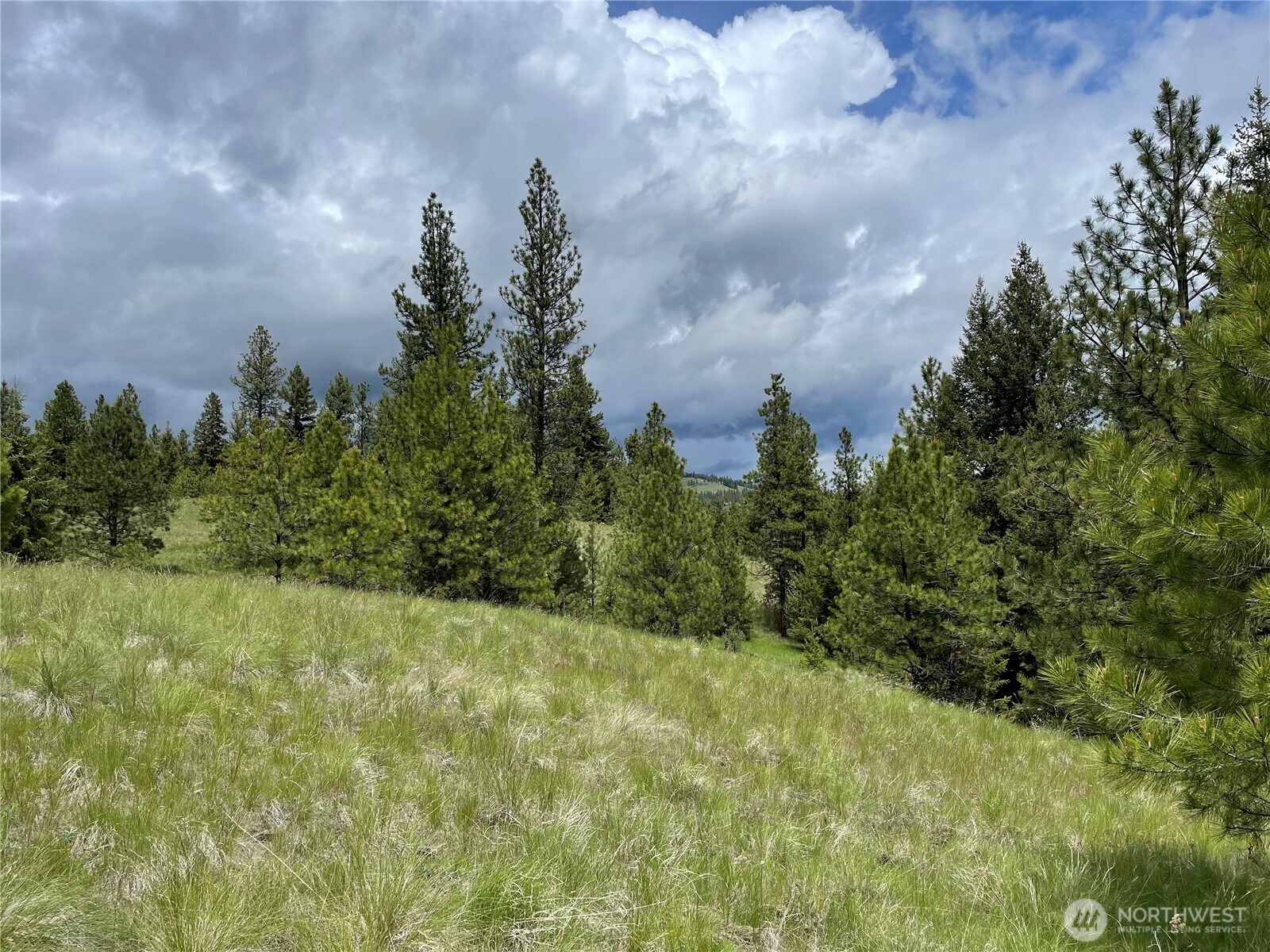 112 Tbd Sunrise Rd Property Photo 9