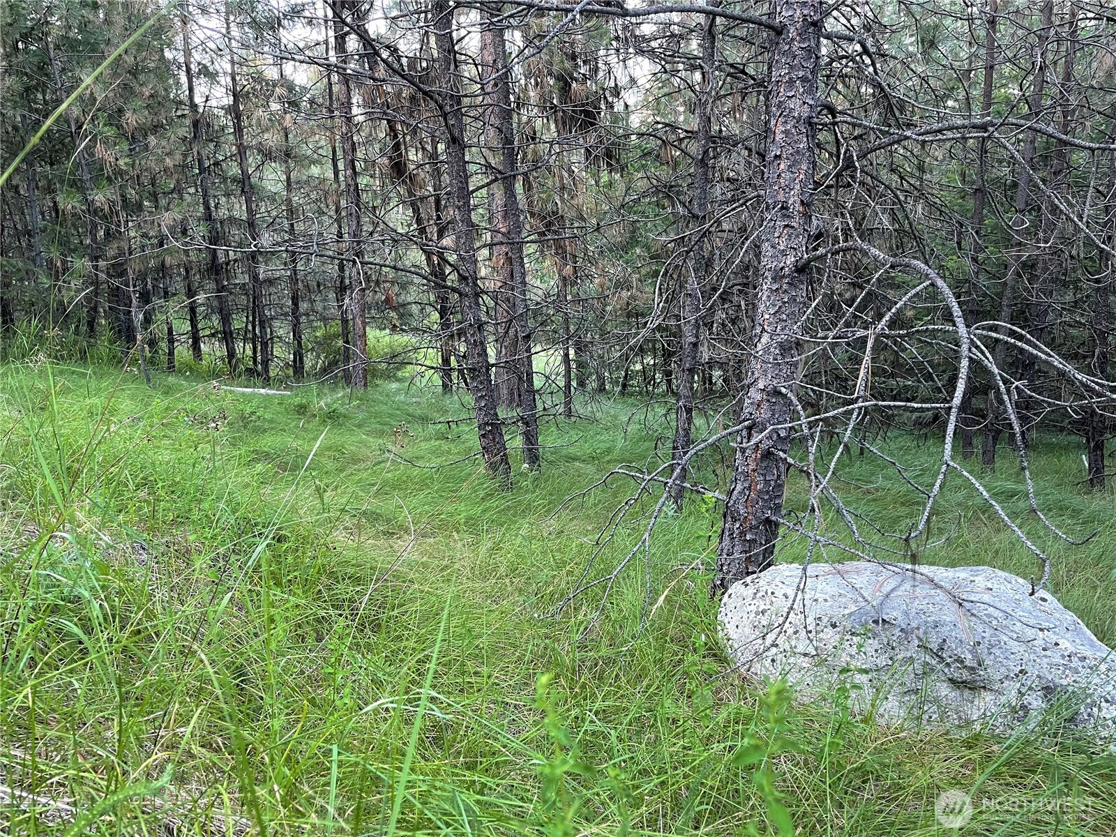 112 Tbd Sunrise Rd Property Photo 10