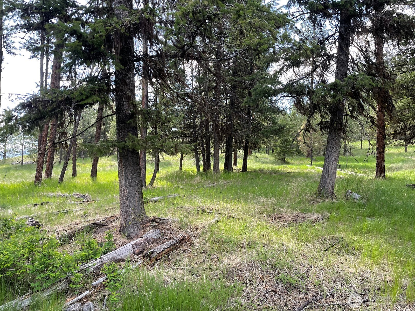 111 Tbd Sunrise Rd Property Photo 2