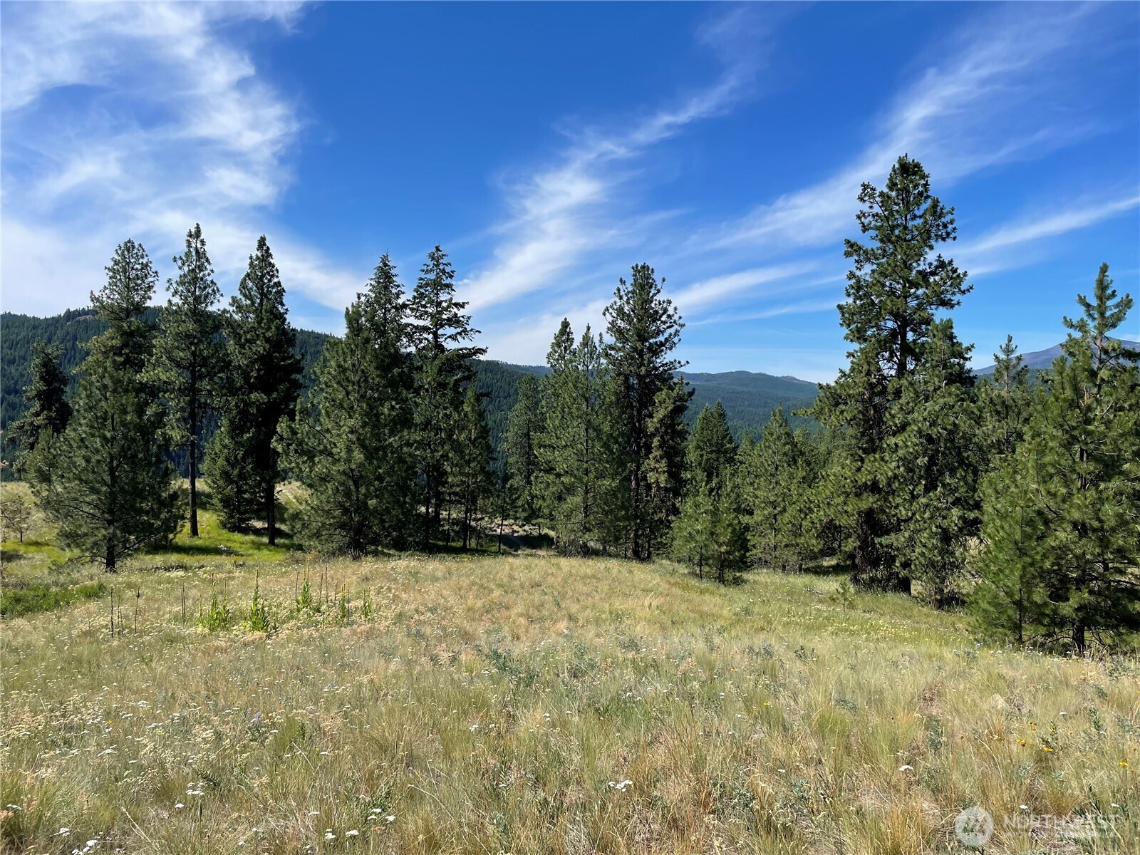 111 Tbd Sunrise Rd Property Photo 4