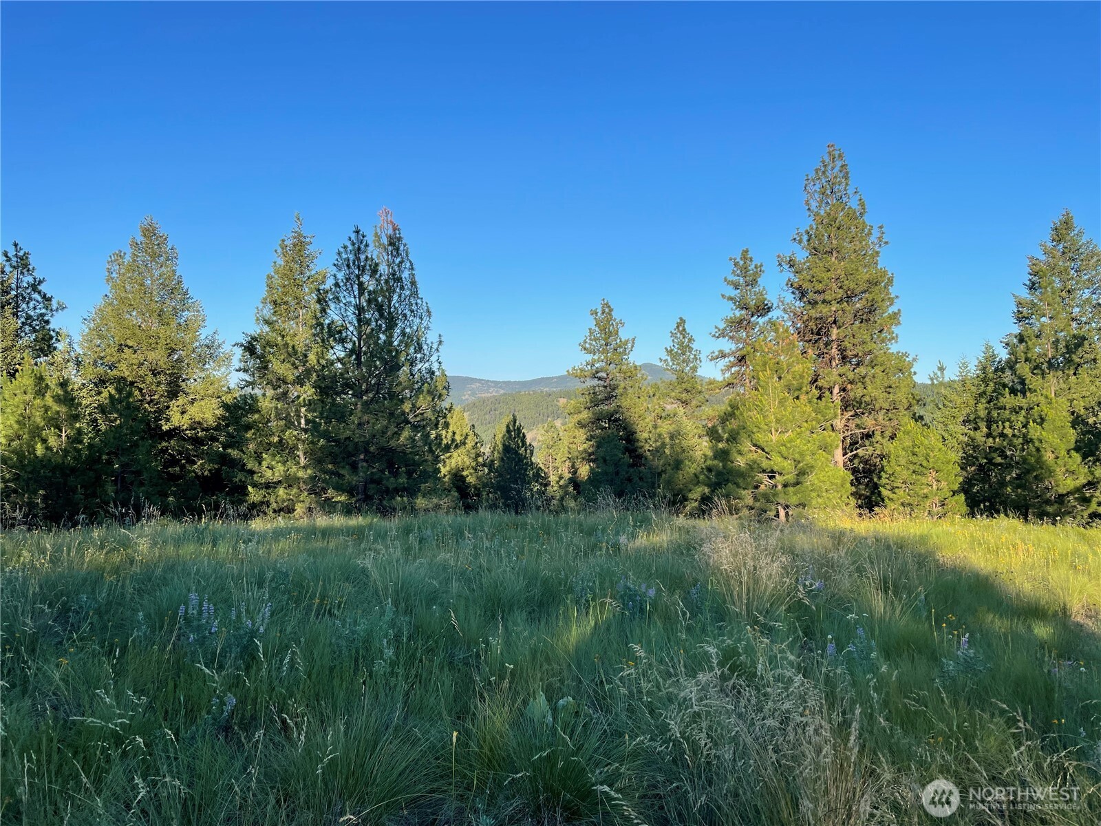 111 Tbd Sunrise Rd Property Photo 12