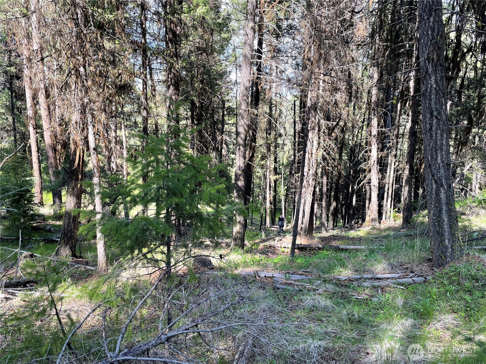 111 Tbd Sunrise Rd Property Photo 14