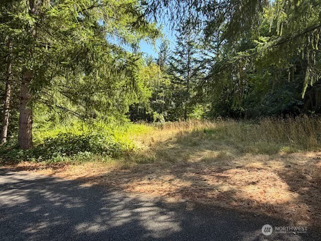 26003 Se Issaquah-fall City Road Property Photo 2