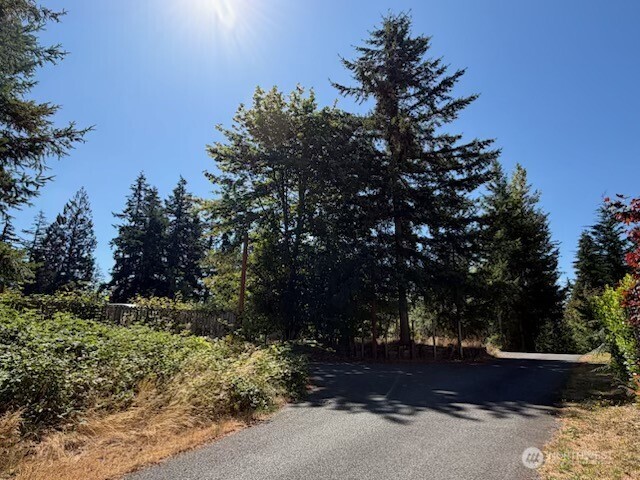26003 Se Issaquah-fall City Road Property Photo 3