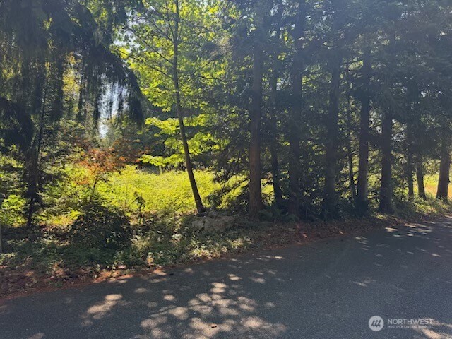 26003 Se Issaquah-fall City Road Property Photo 4