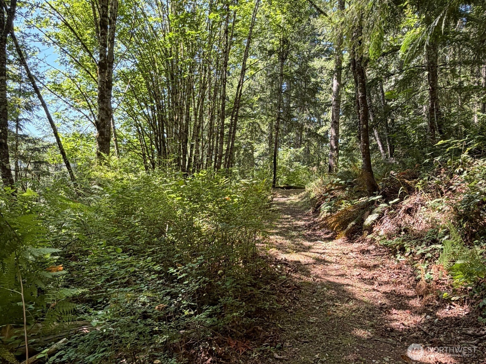 26003 Se Issaquah-fall City Road Property Photo 17