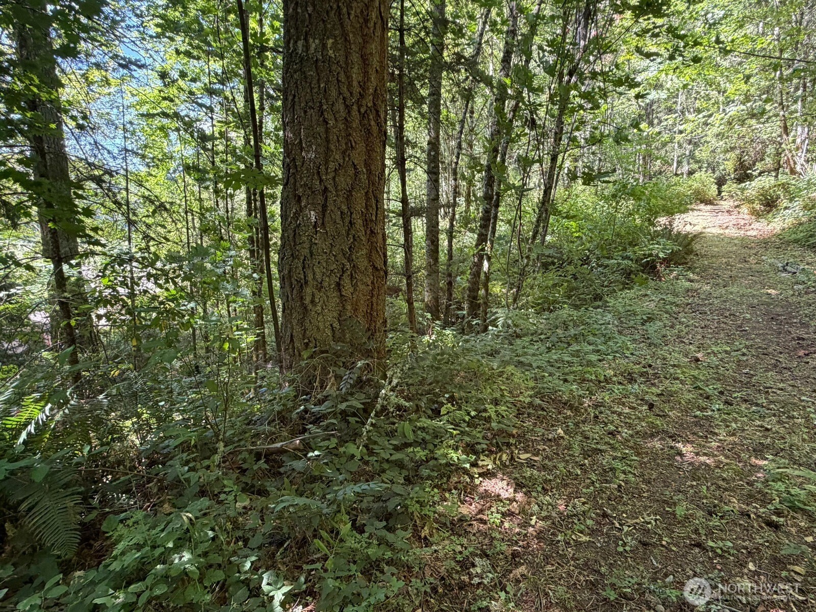 26003 Se Issaquah-fall City Road Property Photo 19