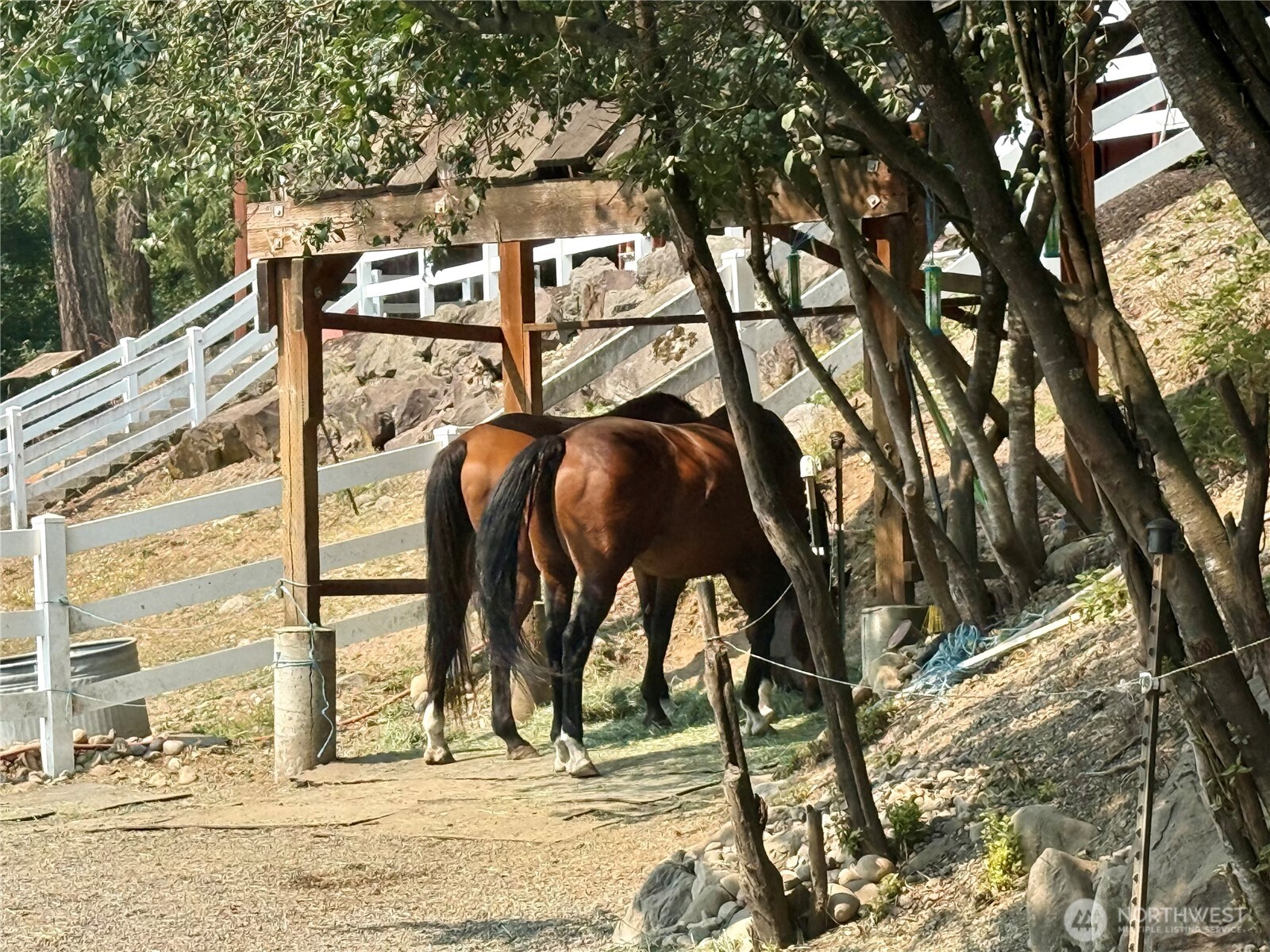 12213 206th Place Property Photo 35