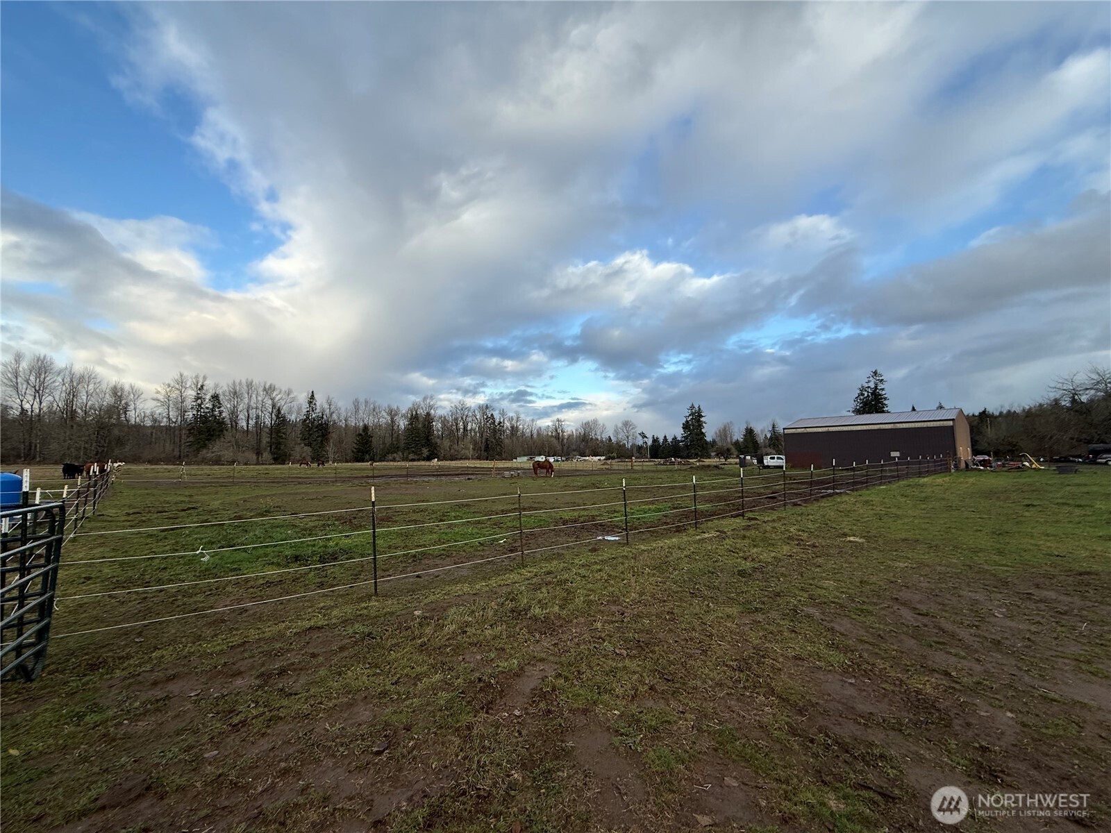 237 Collins Road Property Photo 25