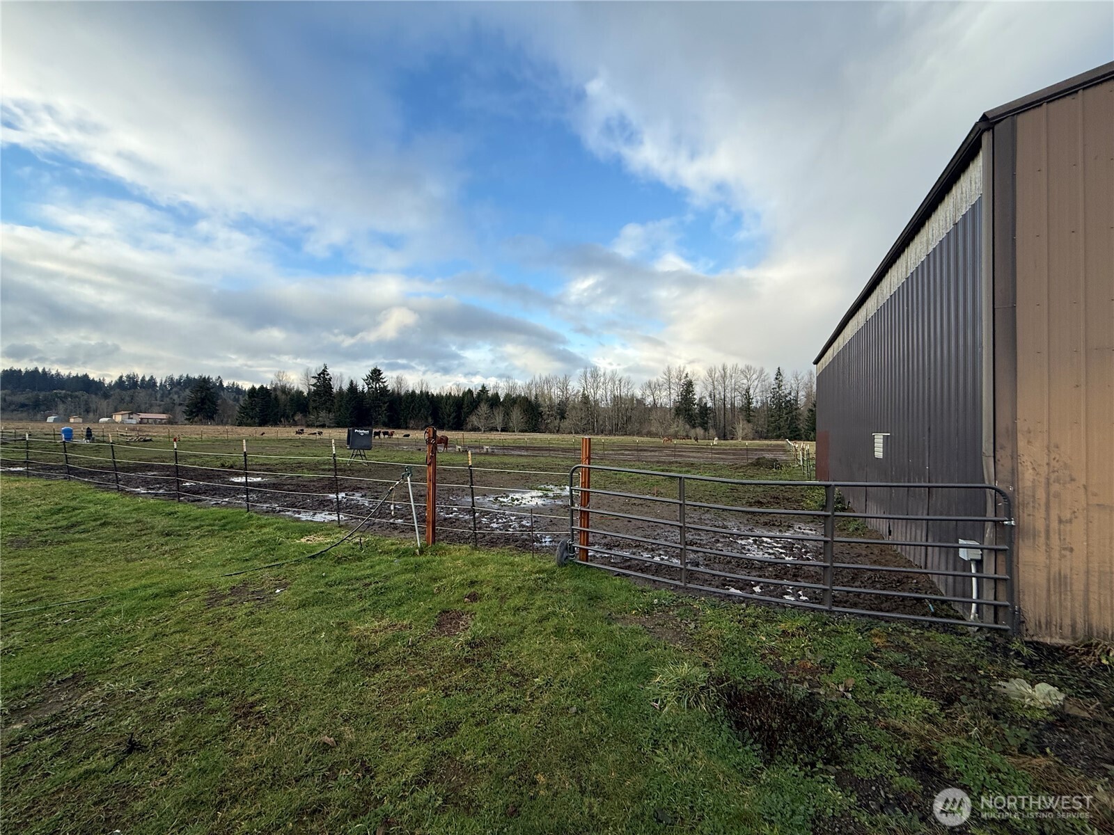 237 Collins Road Property Photo 26